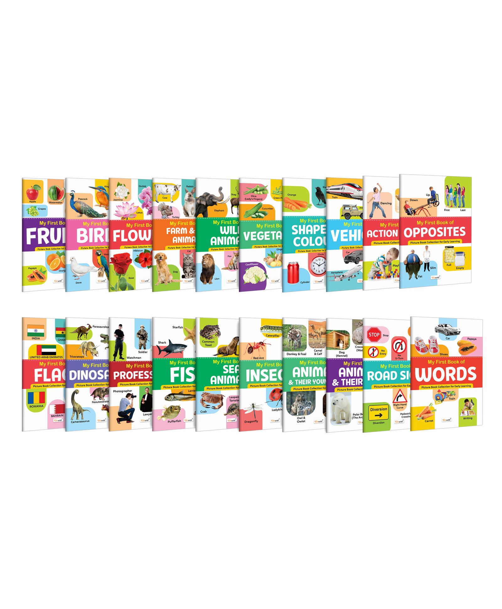 My First Book of Fruits, Birds, Flowers, Farm & Pet Animals, Wild Animals and more :- educational book for kids, discovery books for toddlers, fun learning combo for kids | Set of 20 books-image-19