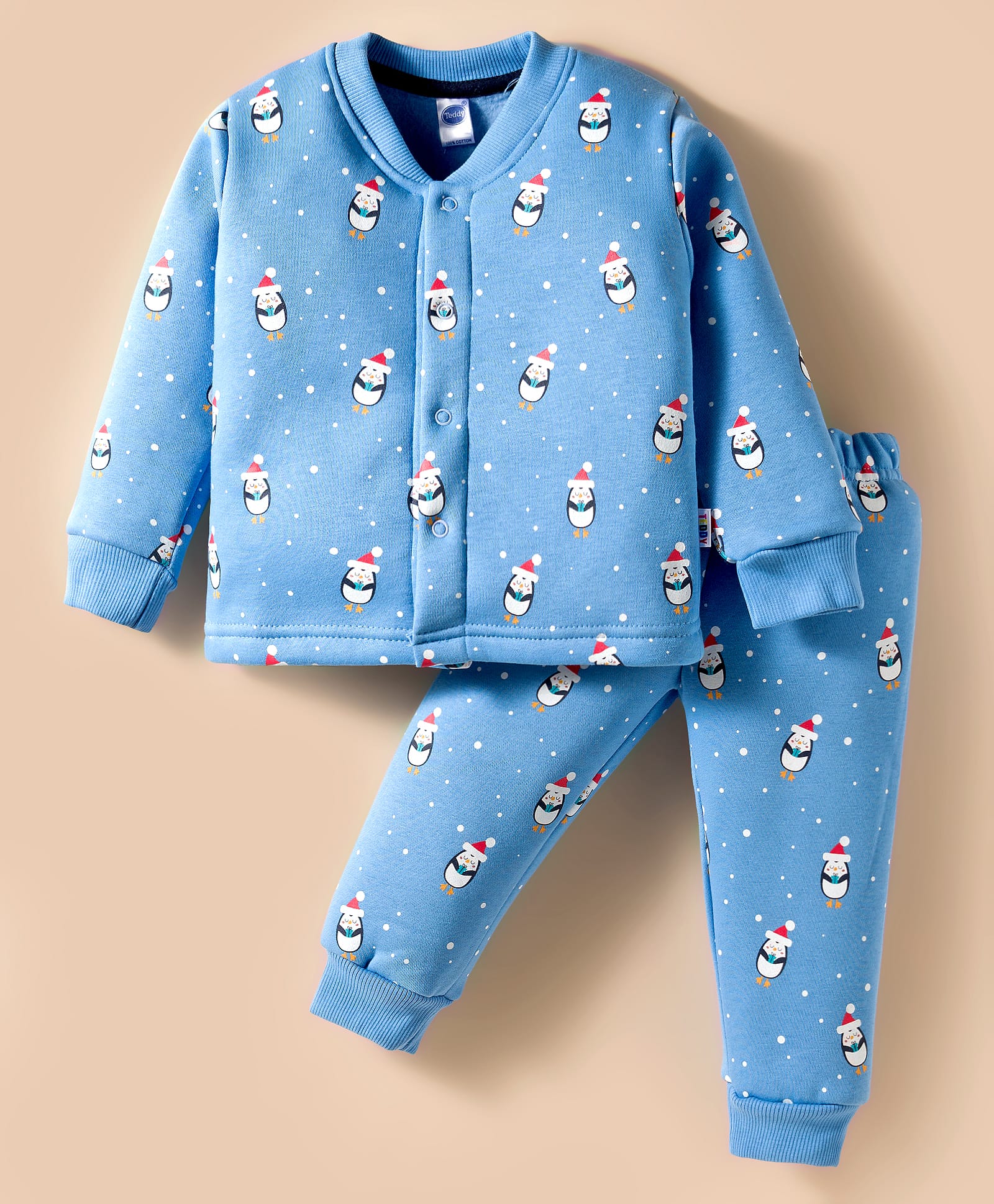 Teddy Fleece Knit Full Sleeves Front Open Co-ord Night Suit With Penguin Print - Light Blue-picture-34