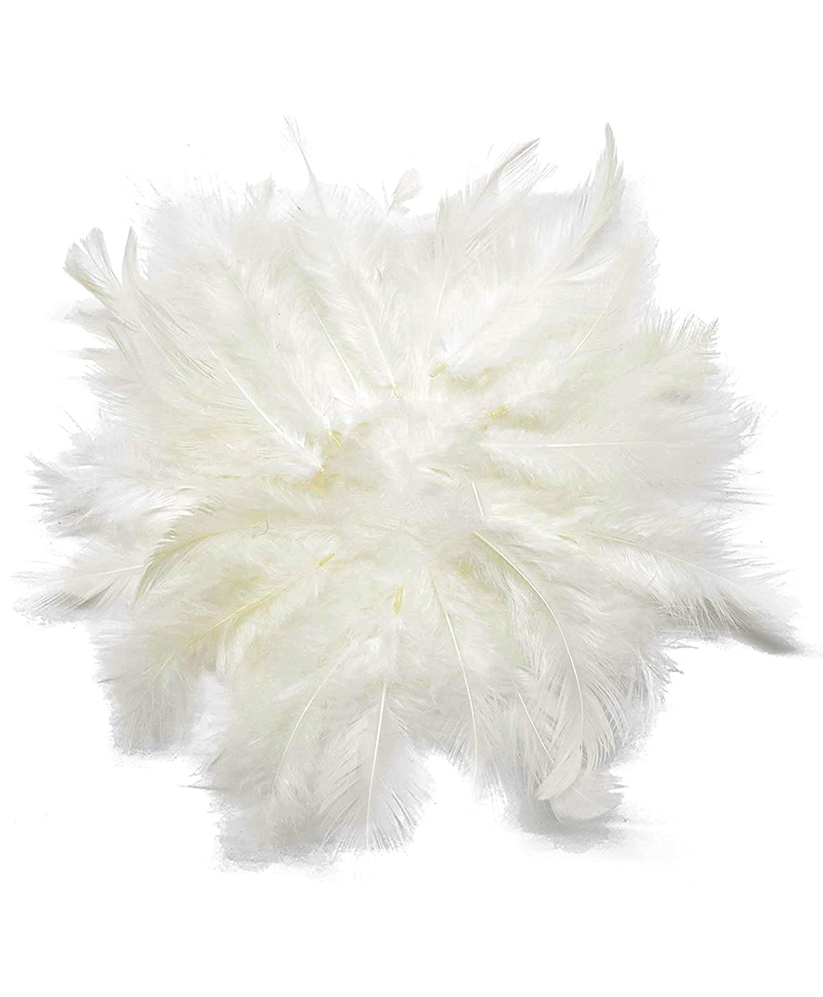 Asian Hobby Crafts Natural Dyed Feathers 80 Pieces for Craft Project, Hobby Creation and Dream Catcher Making | Bright and Premium Feathers for Decorations and Art Projects (White)-image-30