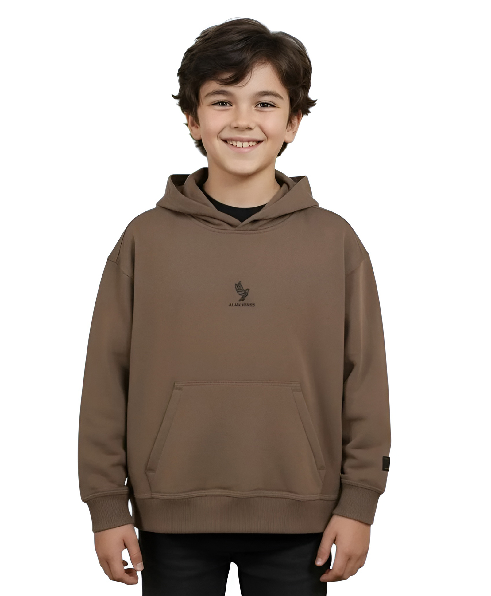 ALAN JONES Cotton Knit Full Sleeves Brand Logo Printed Hoodie - Brown-image-47