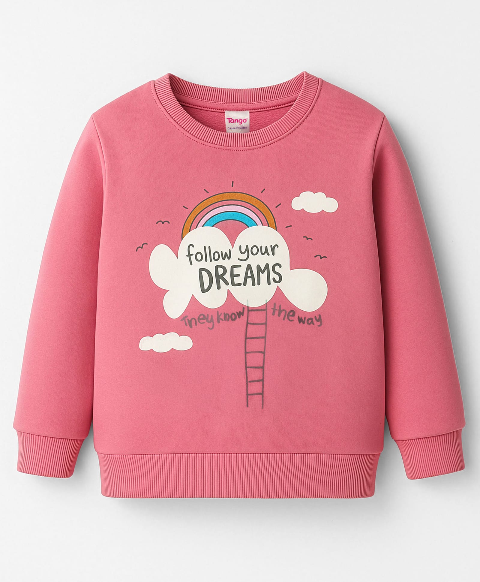 Tango Fleece Knit Full Sleeves Sweatshirt with Rainbow Graphic - Pink-picture-22