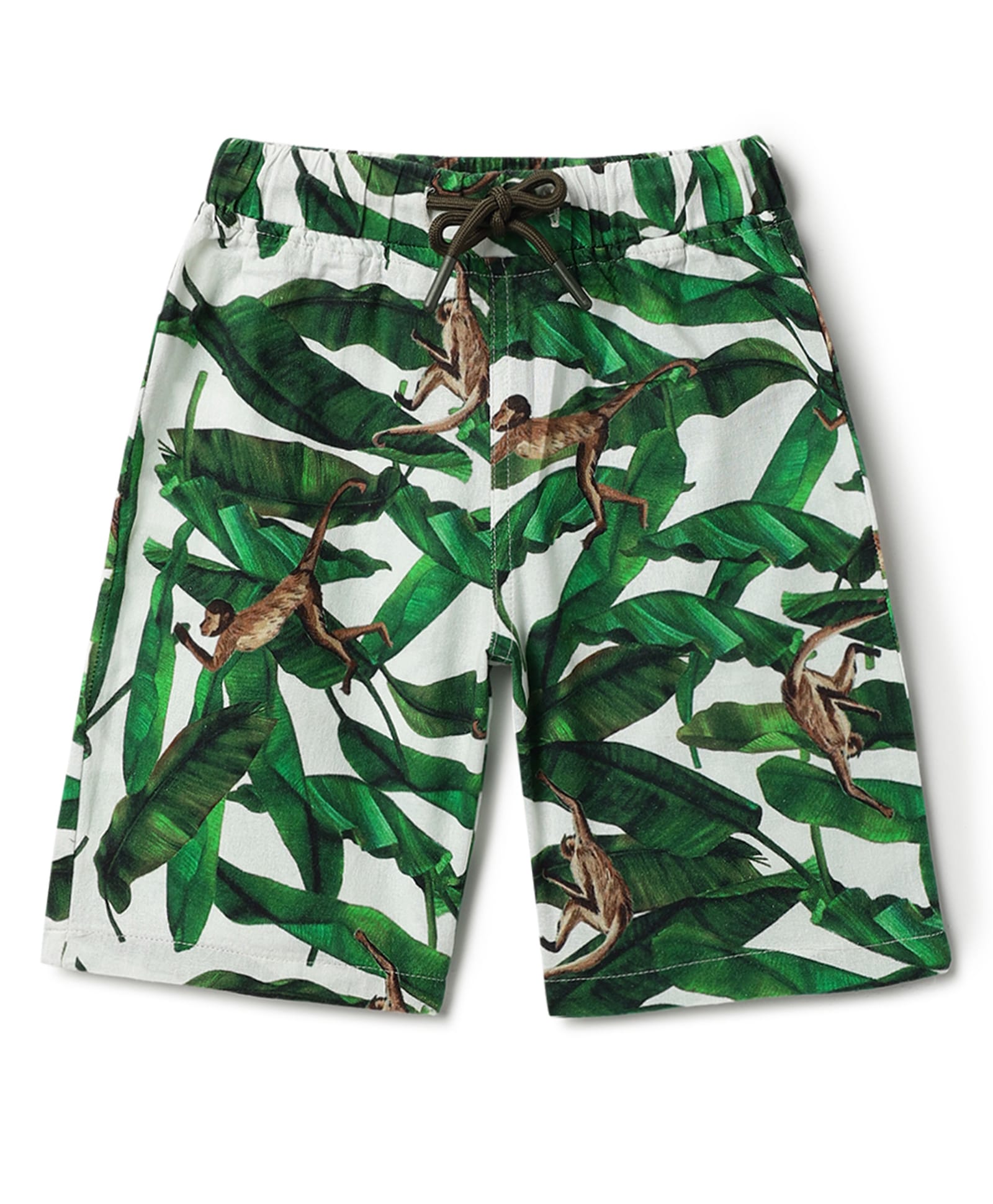Tales & Stories Cotton Woven Jungle Theme Print Shorts - Dark Green-picture-25