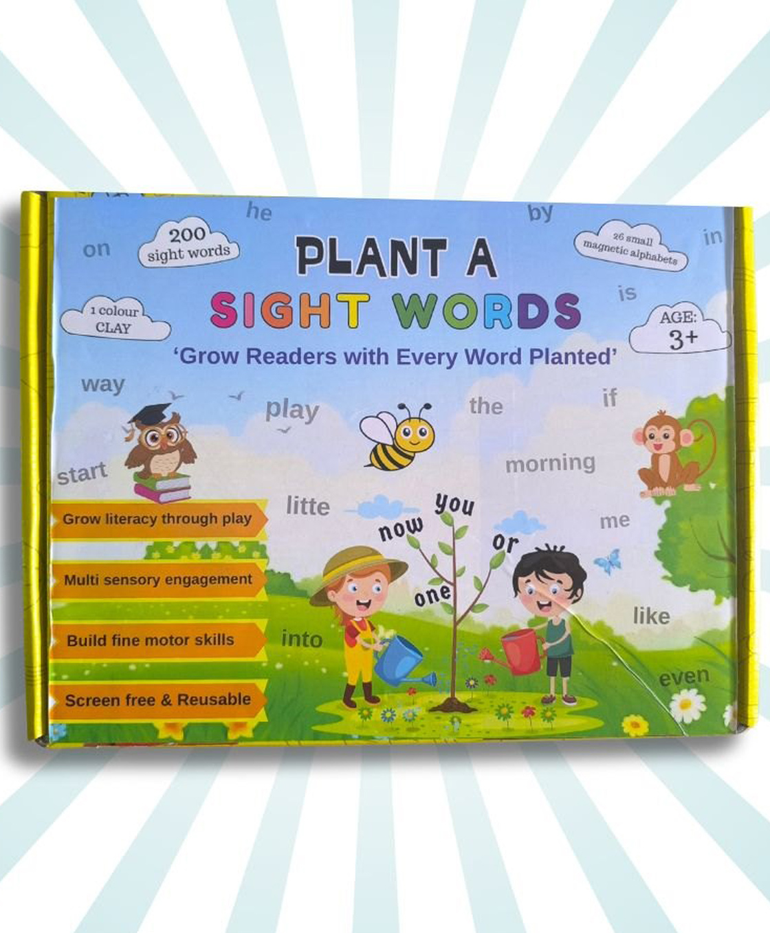 EDUSTAR Plant a sight words - Interactive Sight Word Activity - Multicolor-image-16