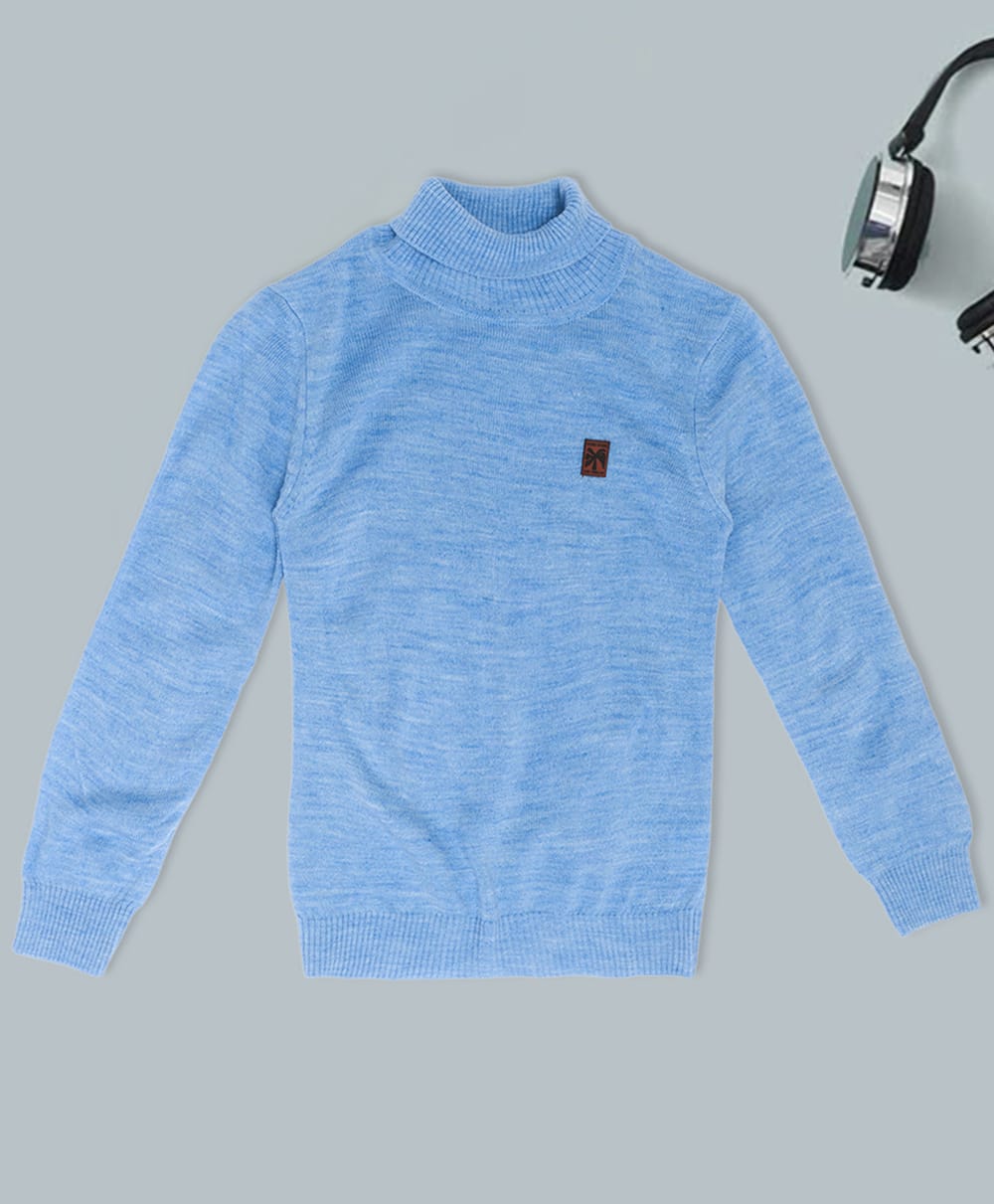 Pantaloons Junior Knit Full Sleeves Solid Turtle Neck Sweater - Blue-picture-15