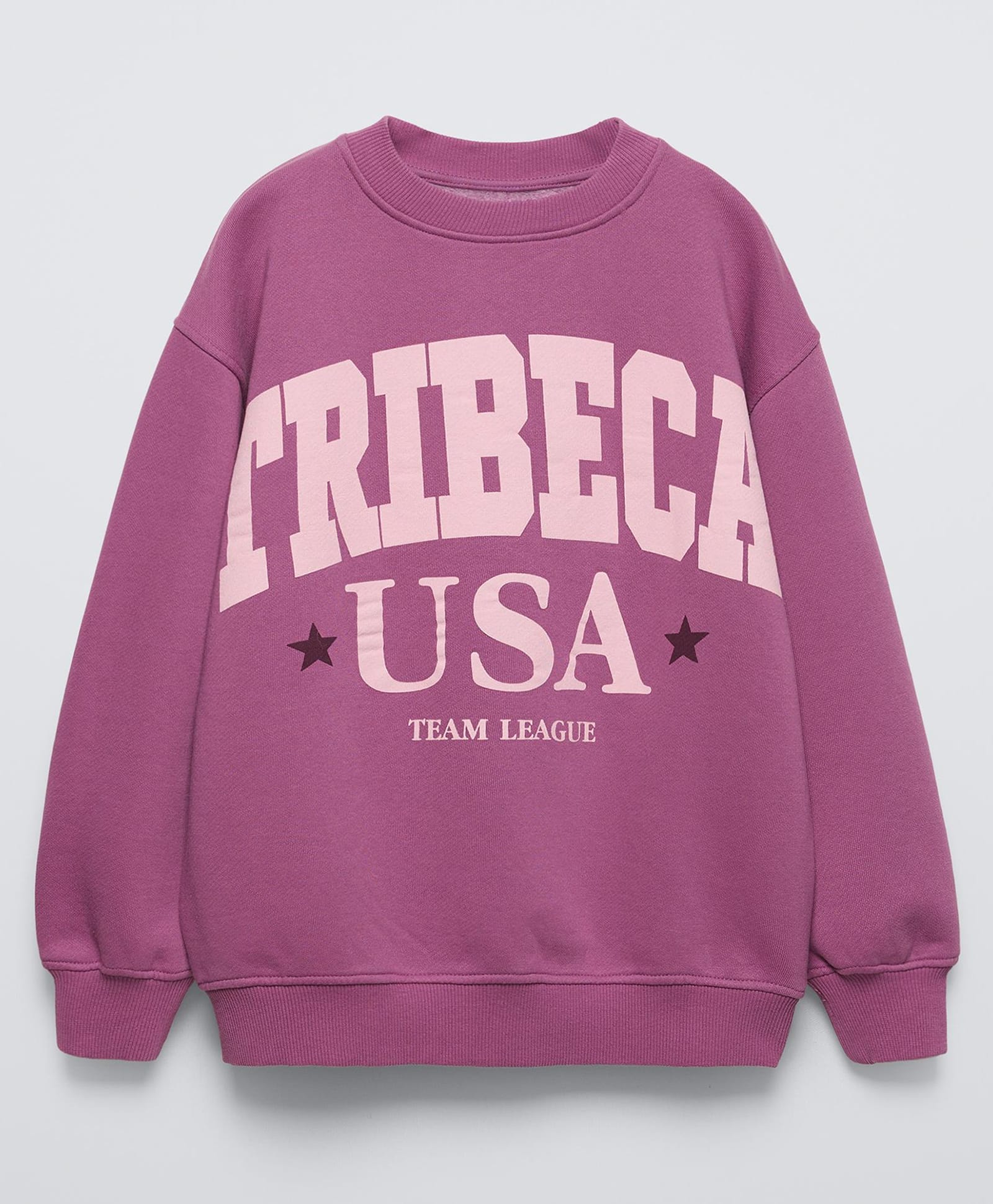 ALAN JONES Cotton Blend Knit Full Sleeves Tribeca Text Printed Oversized Light Winter Sweatshirt - Purple-image-20