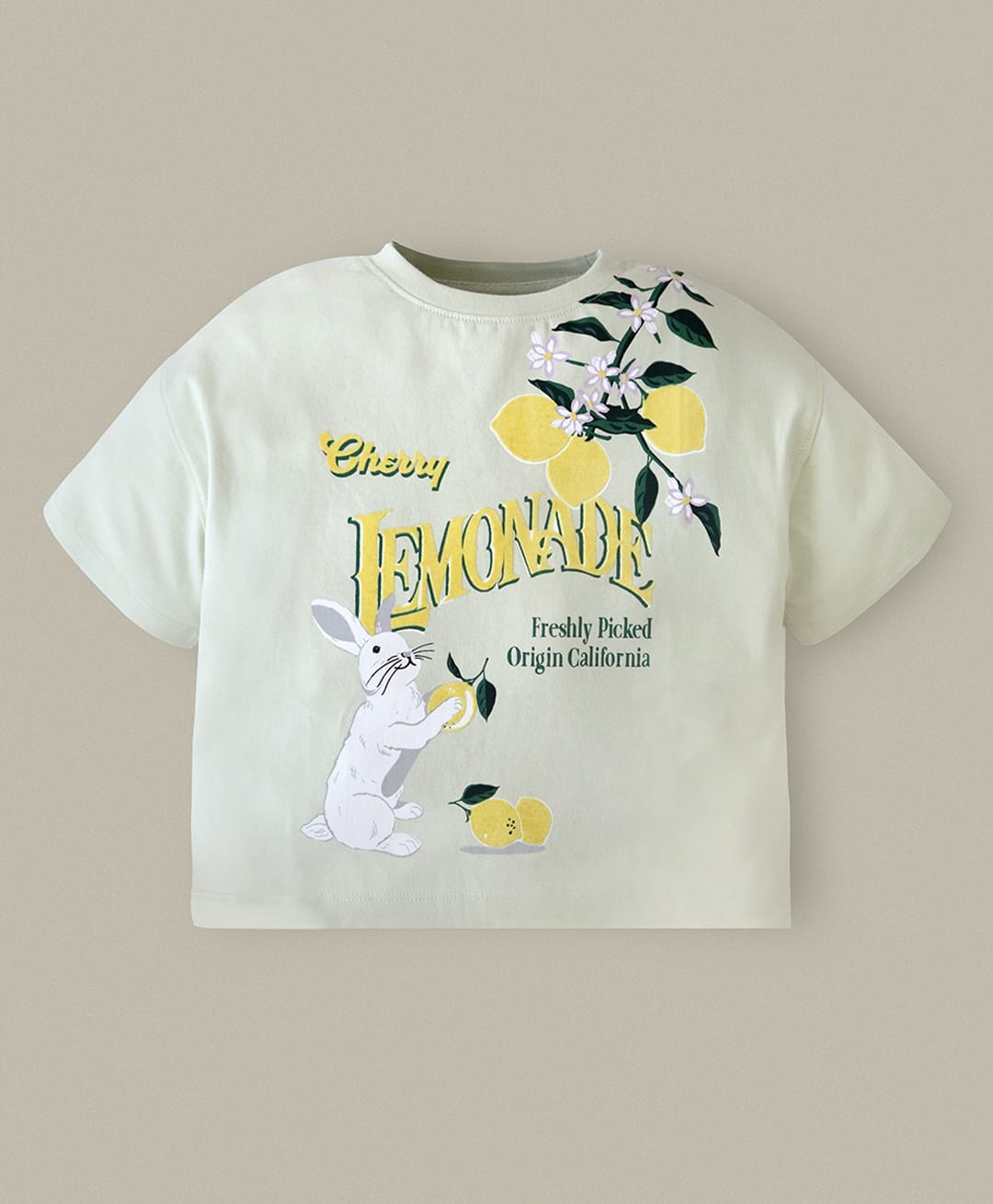 Cherry Crumble By Nitt Hyman Cotton Knit Half Sleeves Lemonade Text Printed Tee - Mint-image-47