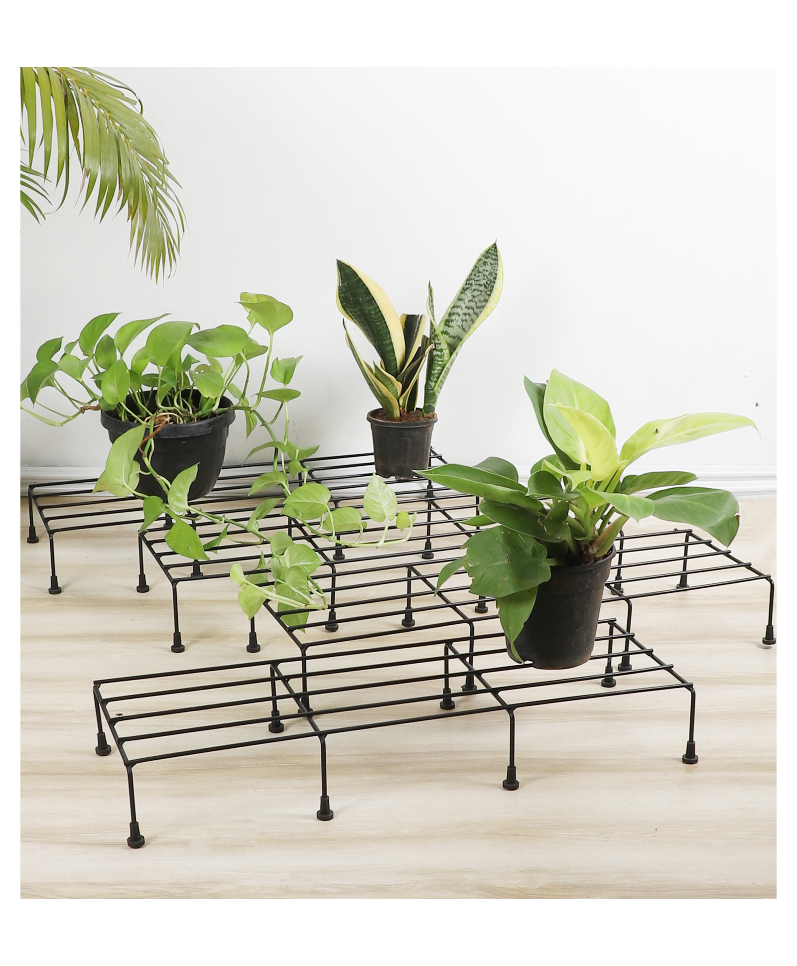 Amaya Decors Black Pot Stand Set of 4-picture-10