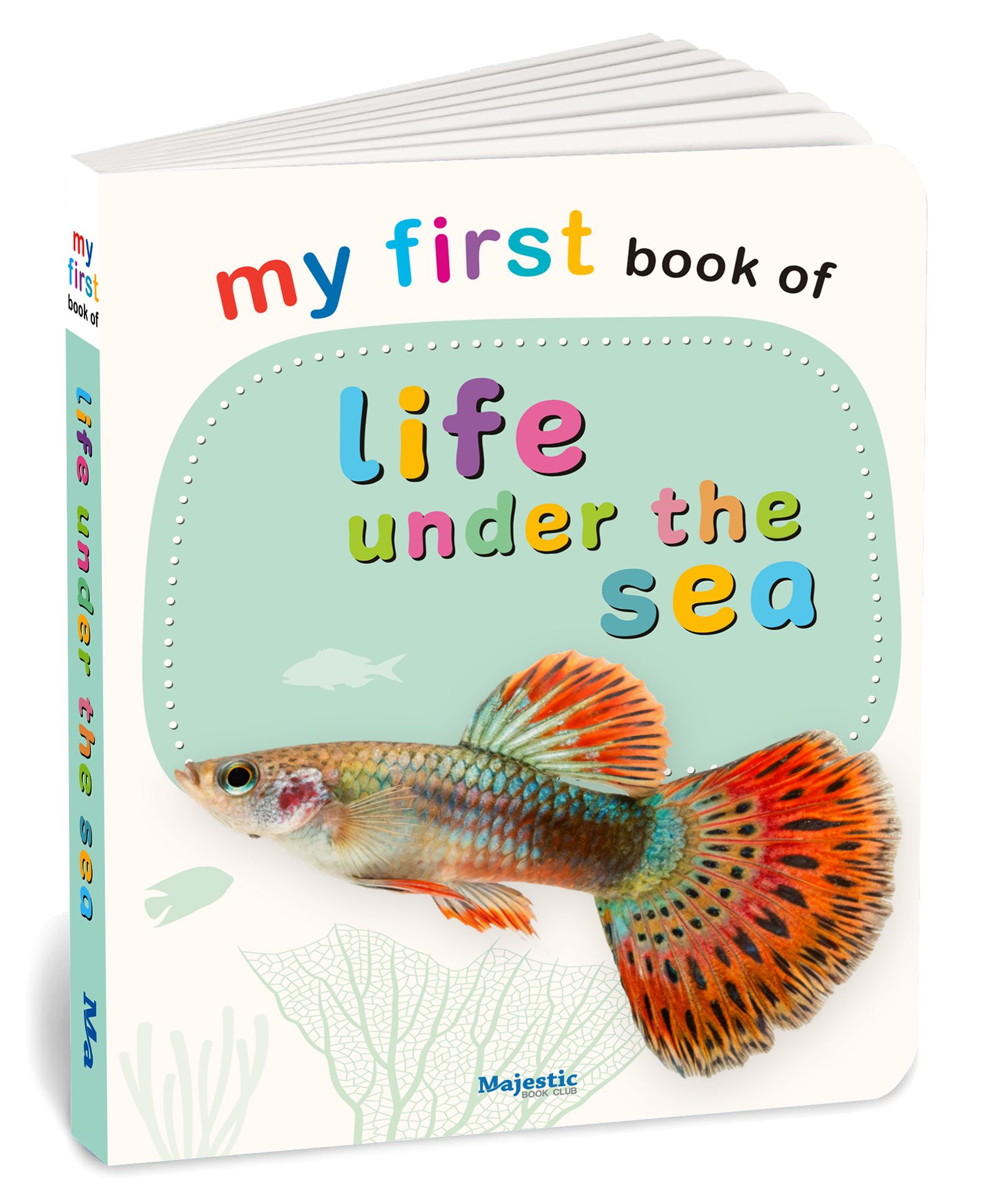 My First Book of Life Under the Sea | Early Learning Board Book for Kids | Study Picture Book for Toddlers | Simple Words and Clear Pictures | Ideal for Gifting (My First Board Book)-image-33