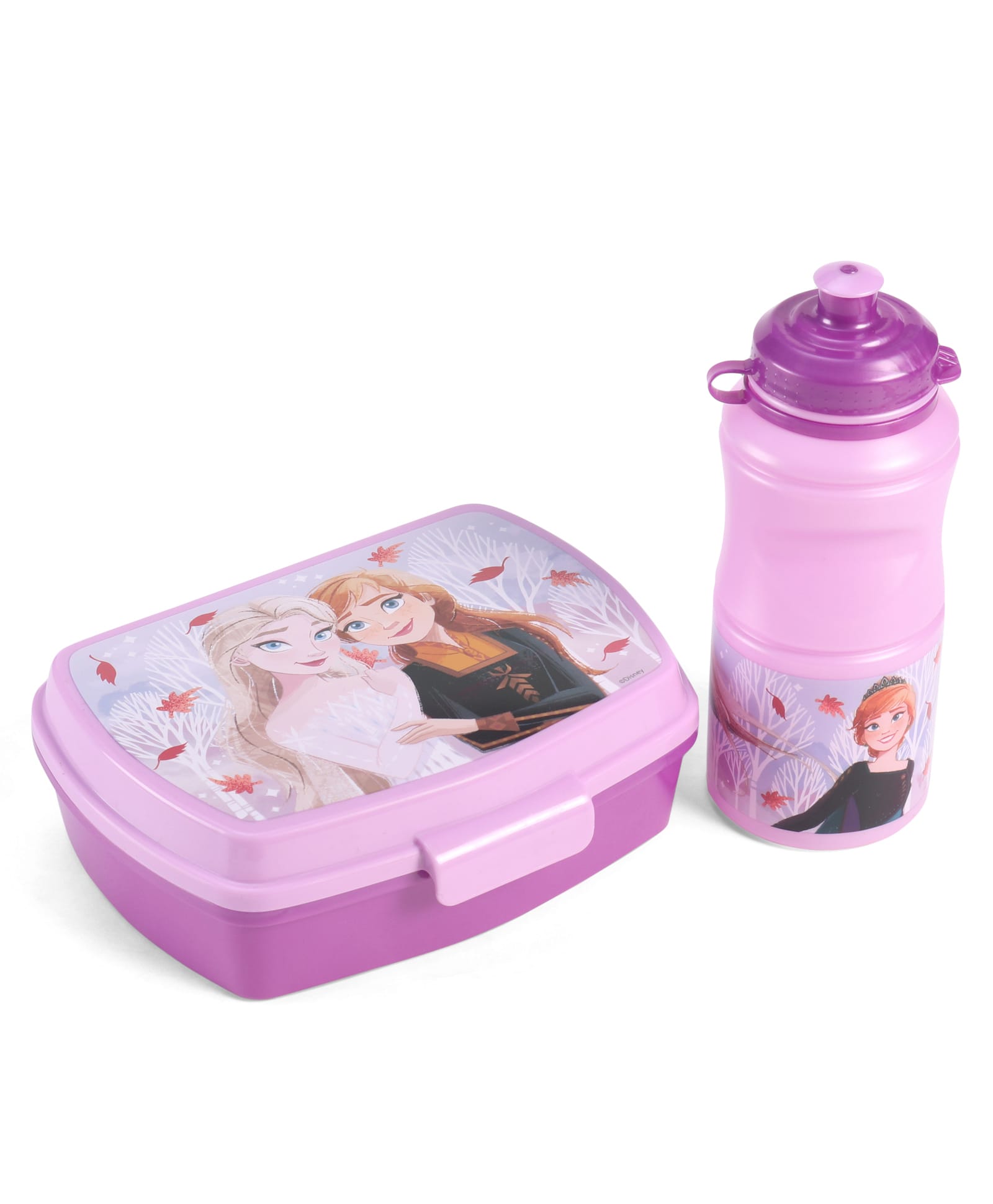Disney Frozen Printed Stor Lunch Box with Water Bottle - Pink-image-38