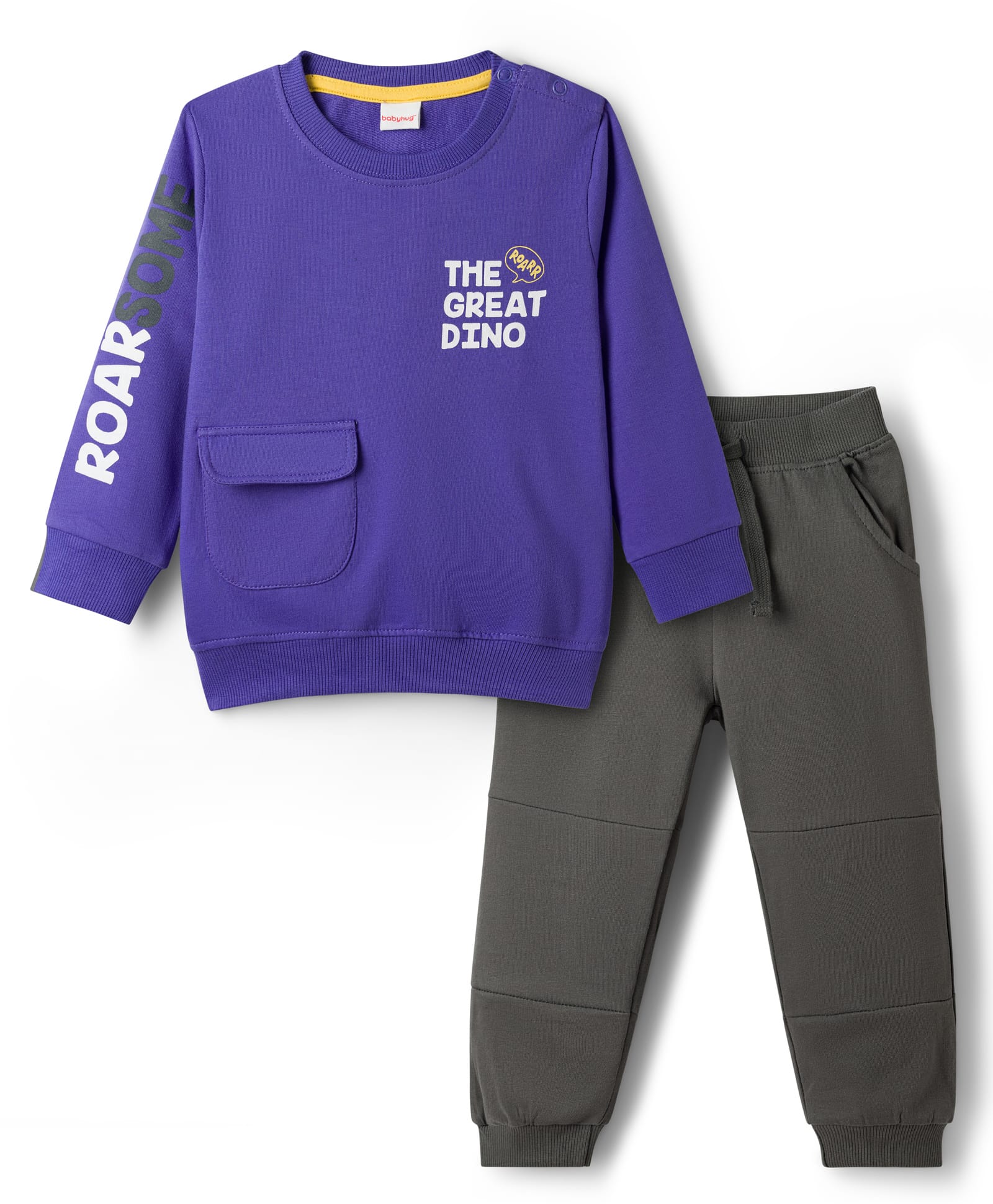 Babyhug Terry Knit Full Sleeves T-Shirt & Trouser Set With The Great Dino Print - Purple-picture-25