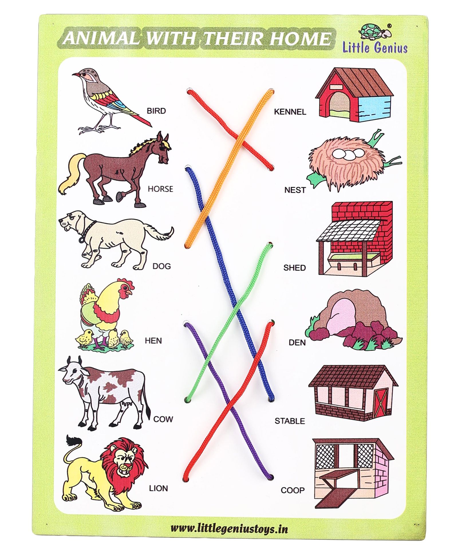 Little Genius Wooden Match The Column Animal With Their Home - Yellow  Online India, Buy Educational Games for (3-10 Years) at  -  2166572