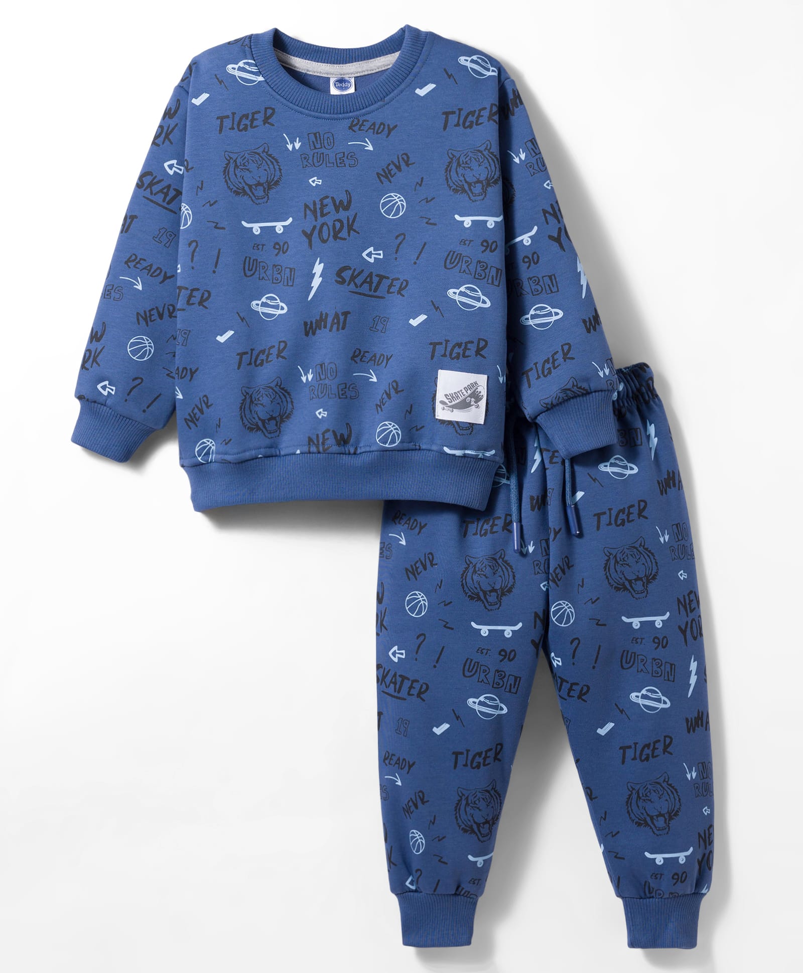 Teddy Fleece Knit Full Sleeves Winter Wear Co-ord Night Suit With Text Print - Blue