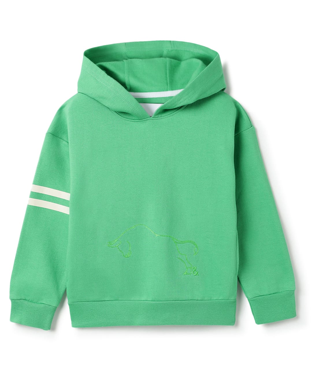 Tales & Stories Knit Full Sleeves Horse Embroidered Light Winter Hooded Sweatshirt - Sea Green-picture-32