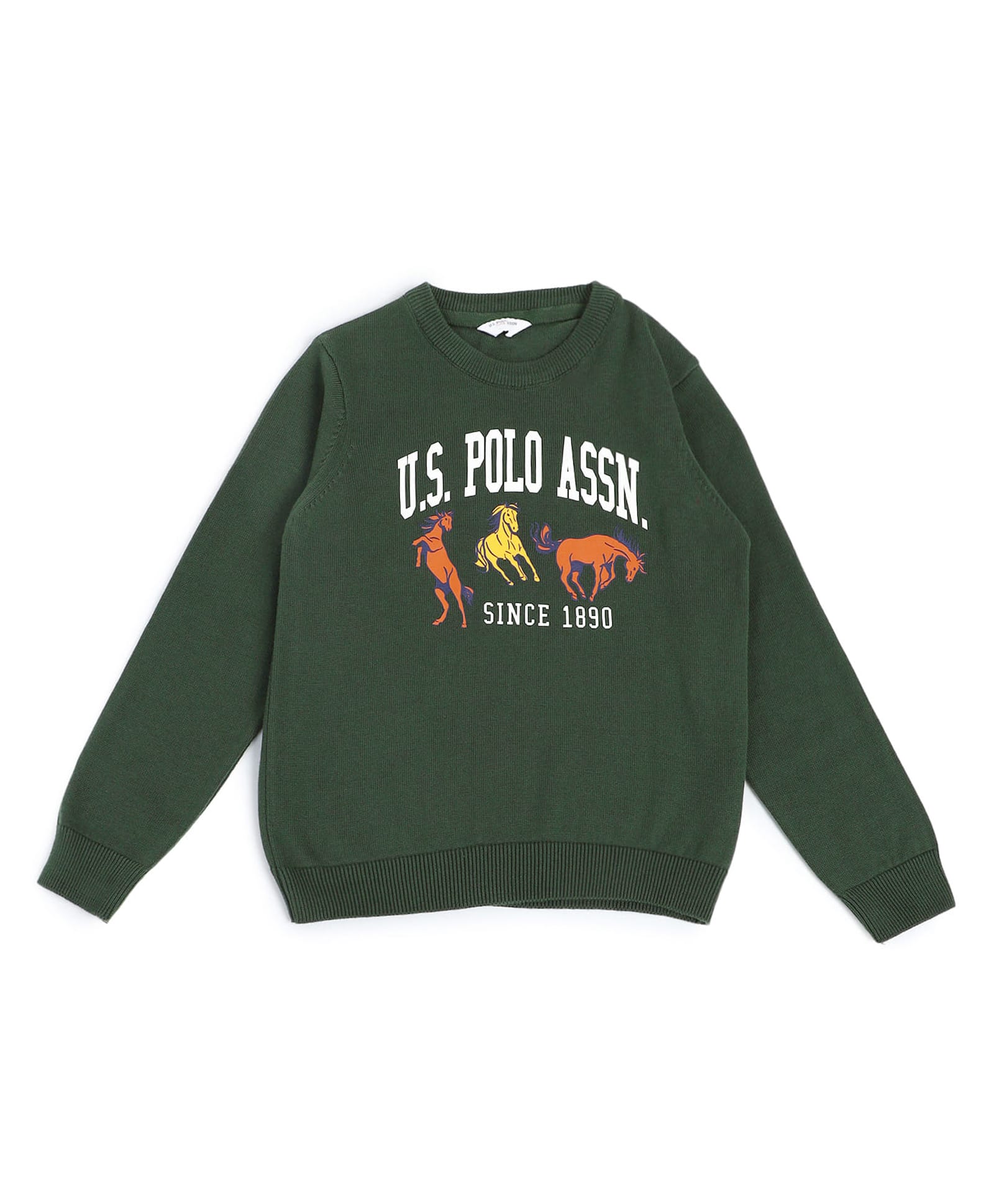 US Polo Assn Cotton Woven Full Sleeves Pullover Sweater With Text Print - Green-picture-43