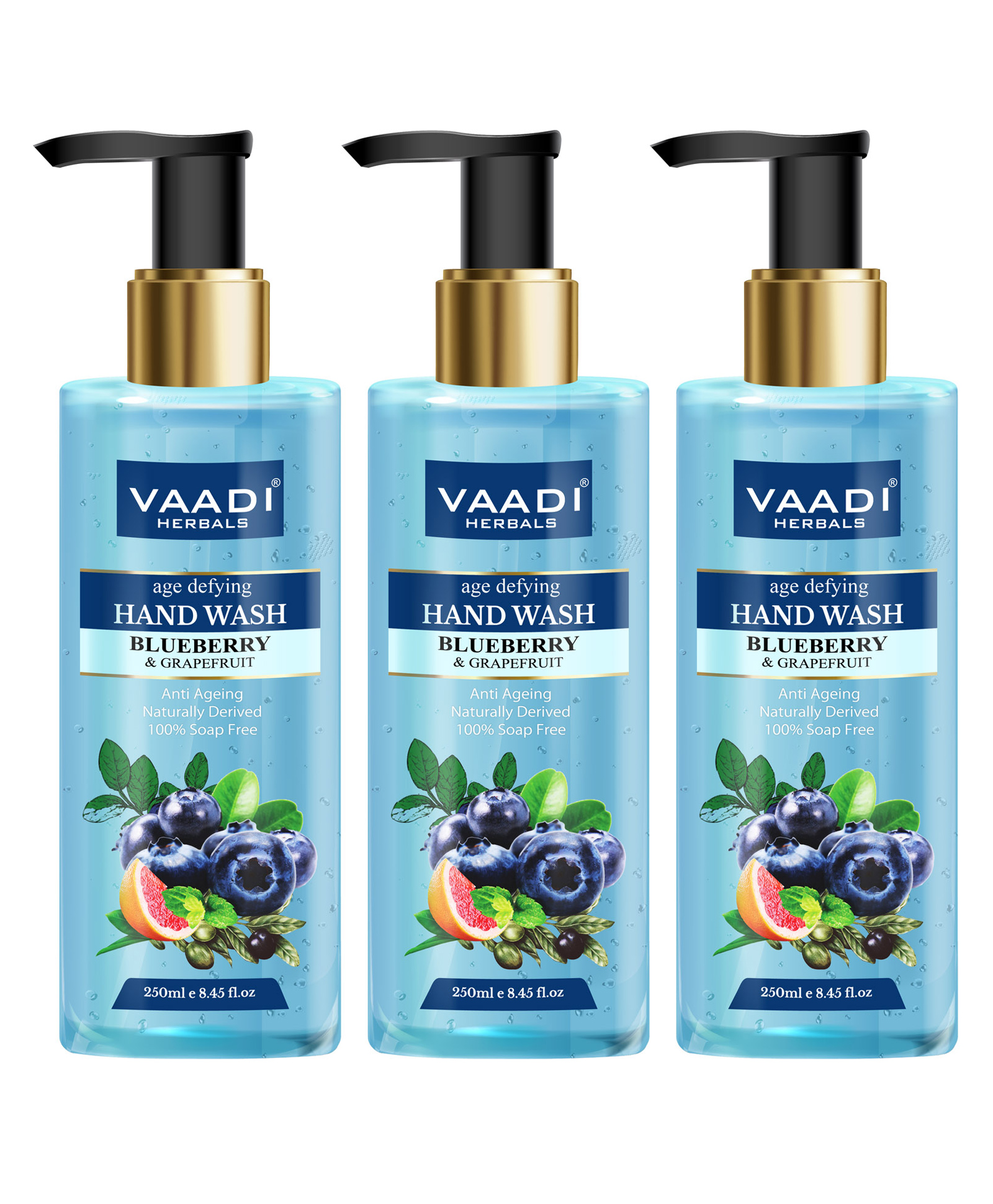 Vaadi Herbals Pack Of 3 Age Defying Blueberry & Grapefruit Hand Wash - (250 ml X 3)-image-32