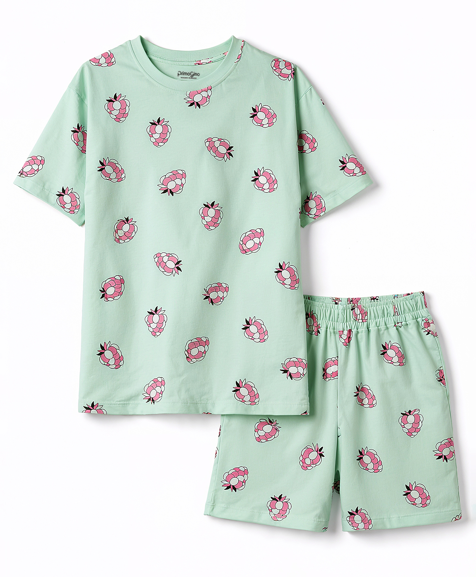 Primo Gino 100% Cotton Knit Half Sleeves Co-Ord T-Shirt & Shorts Night Suit With Fruit Print - Light Blue-image-19