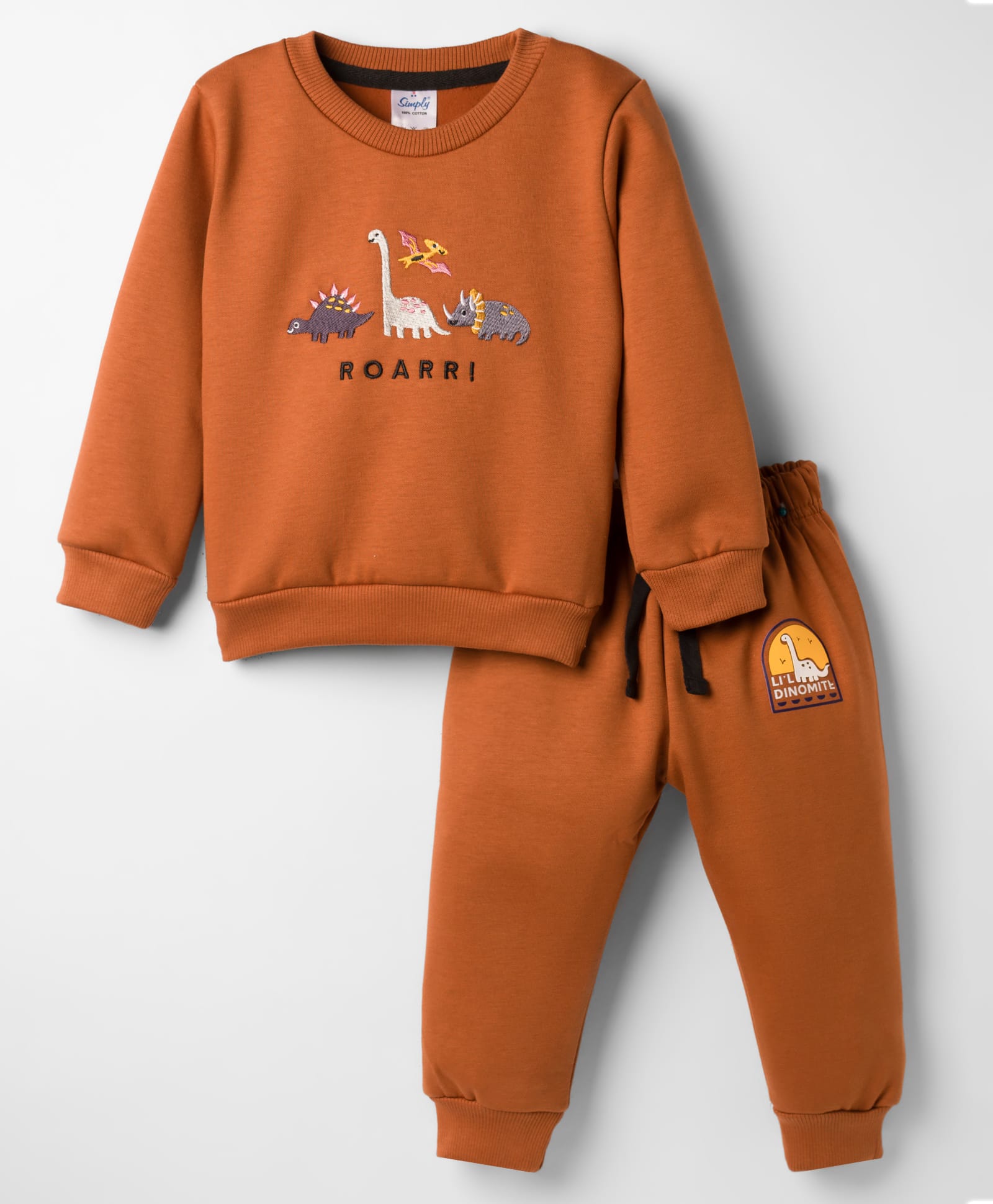Simply Fleece Knit Full Sleeves Winter Wear T-Shirt & Lounge Pant Set With Dino Print - Brown-image-2