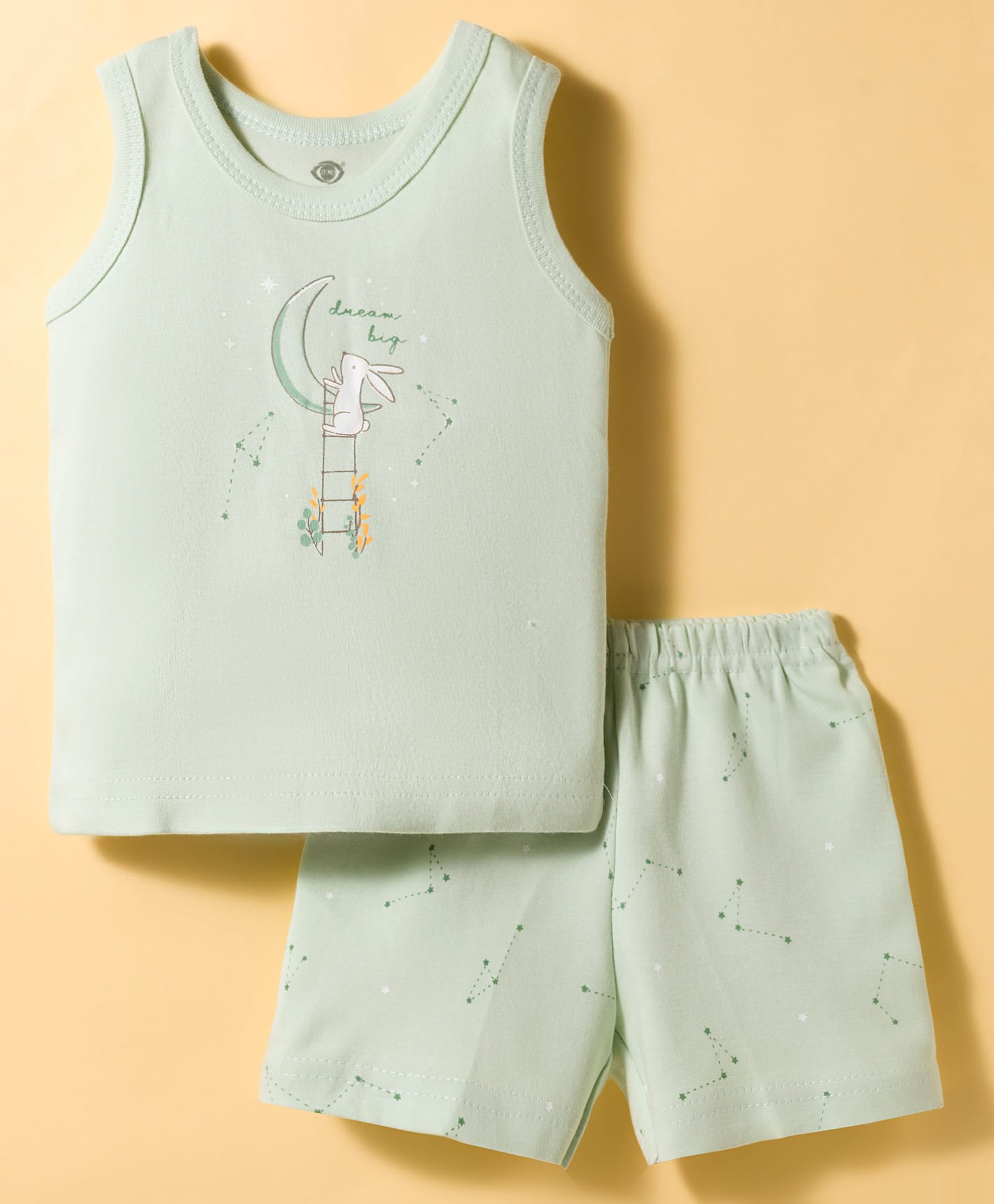Zero Knitted Sleeveless T-Shirt & Shorts Night Suit with Bunny Print - Light Green-picture-31