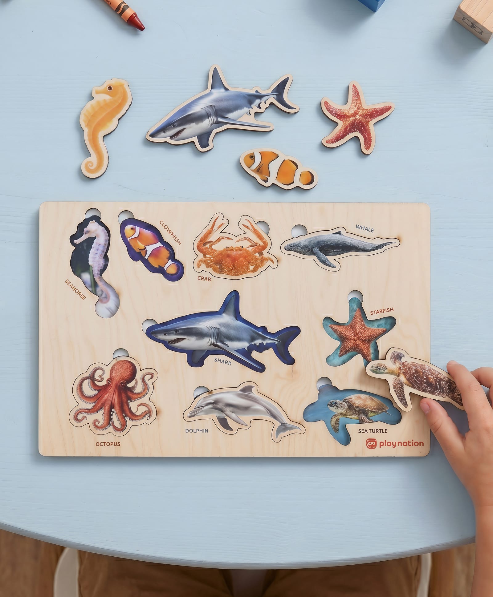 Play Nation 2-in-1 Wooden Puzzle for Kids - Aquatic Animals| Name and Shape Identification| Montessori Educational Toy| Boosts Vocabulary & Recognition| Gifting for 3+ Years Boys & Girls|BIS Certified-picture-17