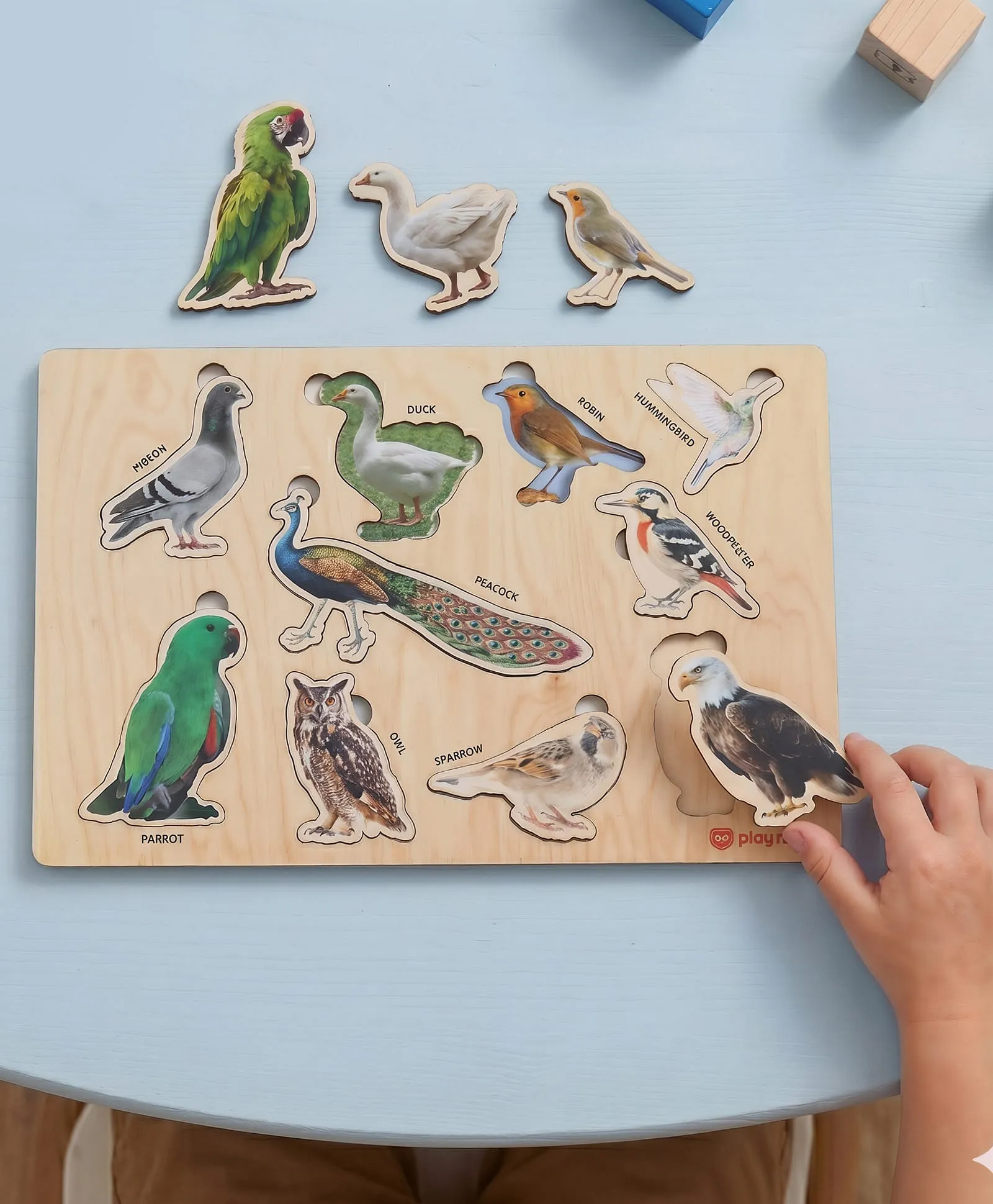 Play Nation 2-in-1 Wooden Puzzle for Kids - Birds| Name Identification| Montessori Educational Toy| Boosts Vocabulary & Recognition| Gifting For 3+ Years Boys & Girls| BIS Certified-picture-0