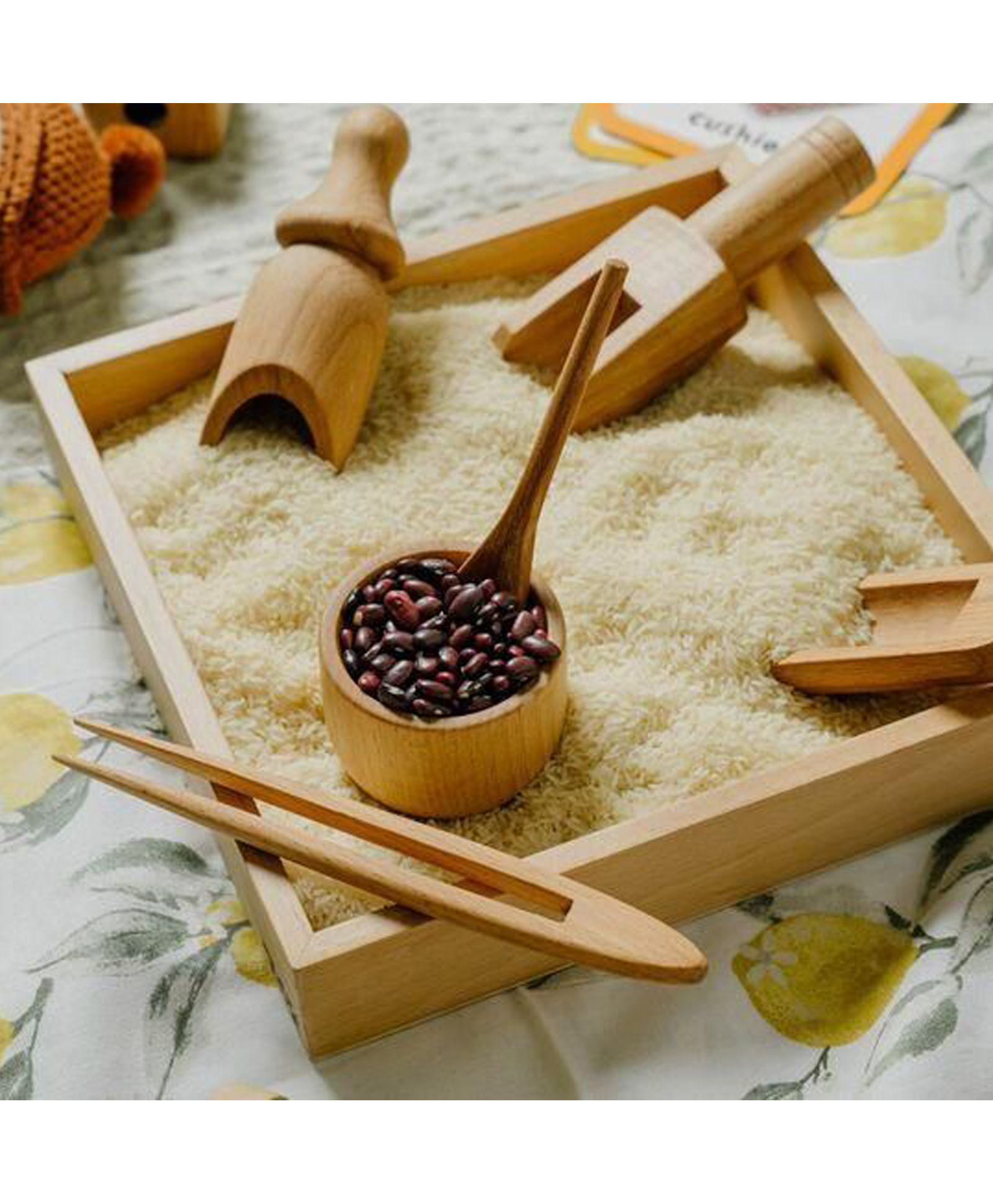 NESTA TOYS Sensory Wooden Toy Set with Montessori Tray (7 Pcs)-image-43