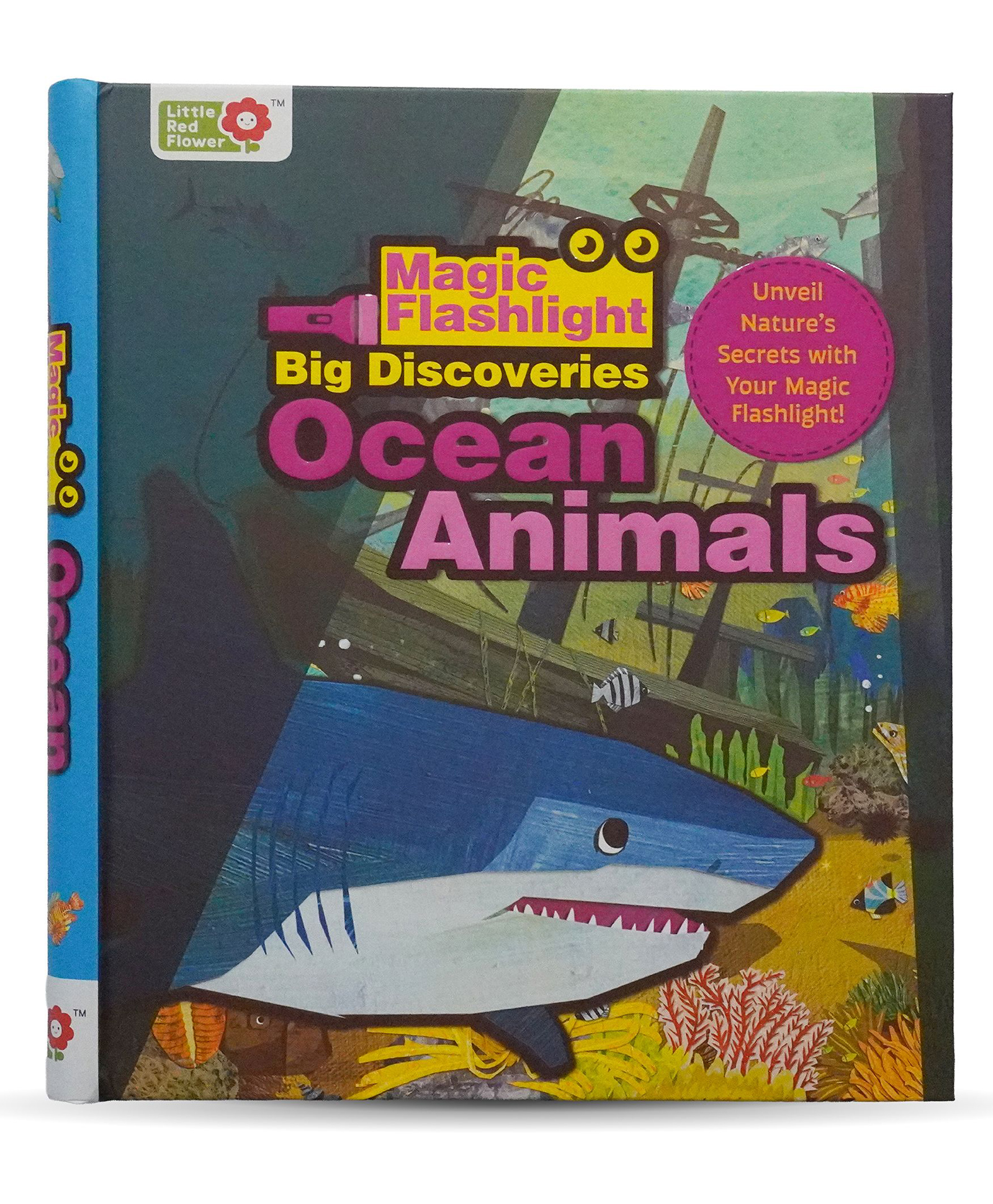 OSWAAL BOOKS Magic Flashlight Big Discoveries: Ocean Animals | Interactive Hidden Picture Book with 2 Reveal Cards & Marine Facts |English-image-2
