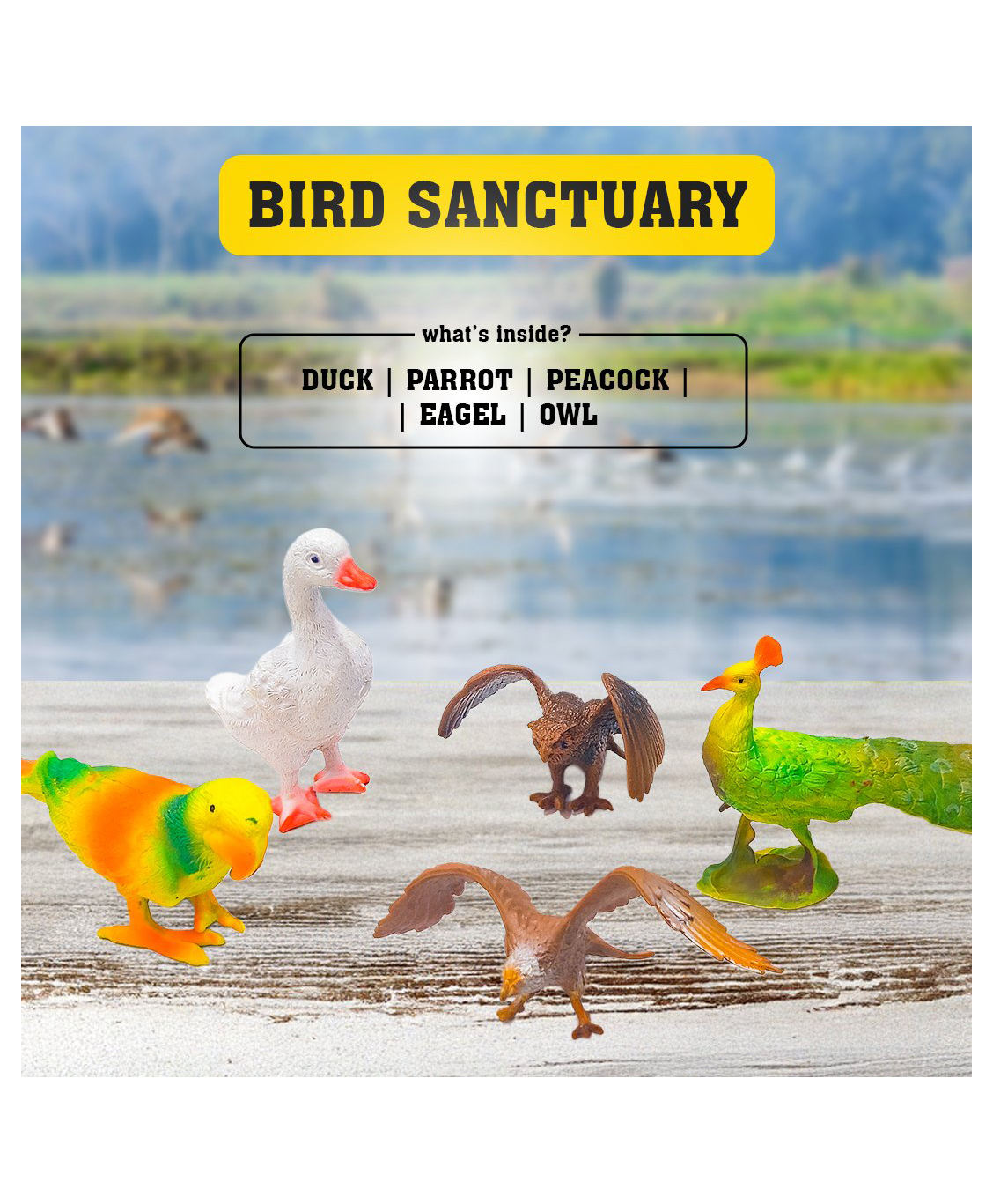 Ratnas Bird Sanctuary Mini Bird Figures Set - Colorful & Educational Toy for Kids.-picture-42