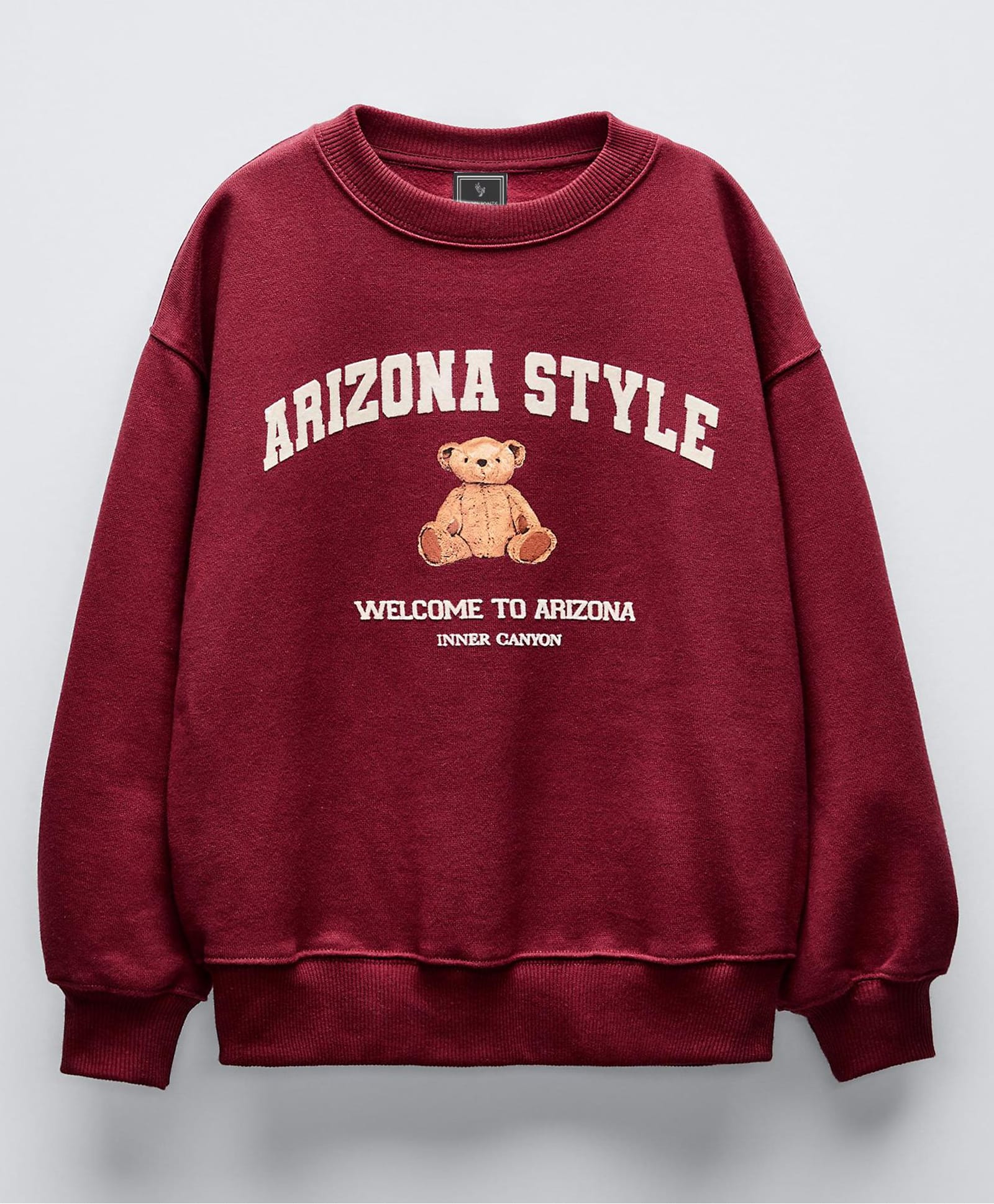 ALAN JONES Cotton Blend Knit Full Sleeves Arizona Style Text & Teddy Printed Light Winter Oversized Sweatshirt - Burgundy-image-11