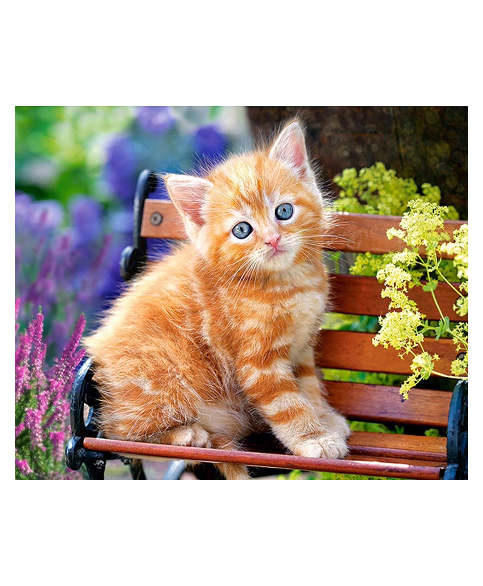 FunBlast Cat Theme 5D Diamond Painting Kit for Decoration Set of 1 Kit (Multicolor)-picture-28