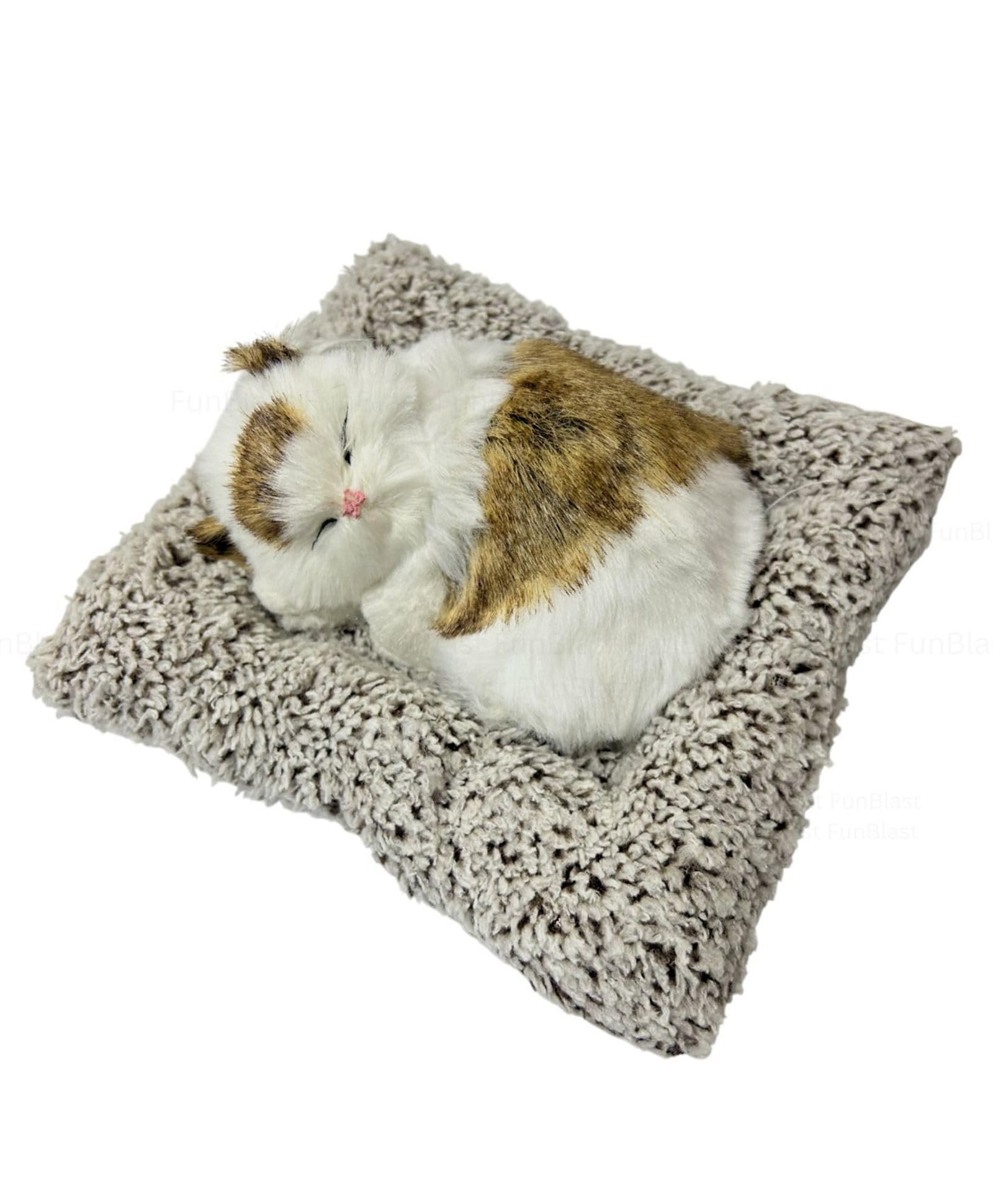 FunBlast Height 16 cm Realistic Sleeping Cat Plush with Meow Sound Toy - Brown-picture-25