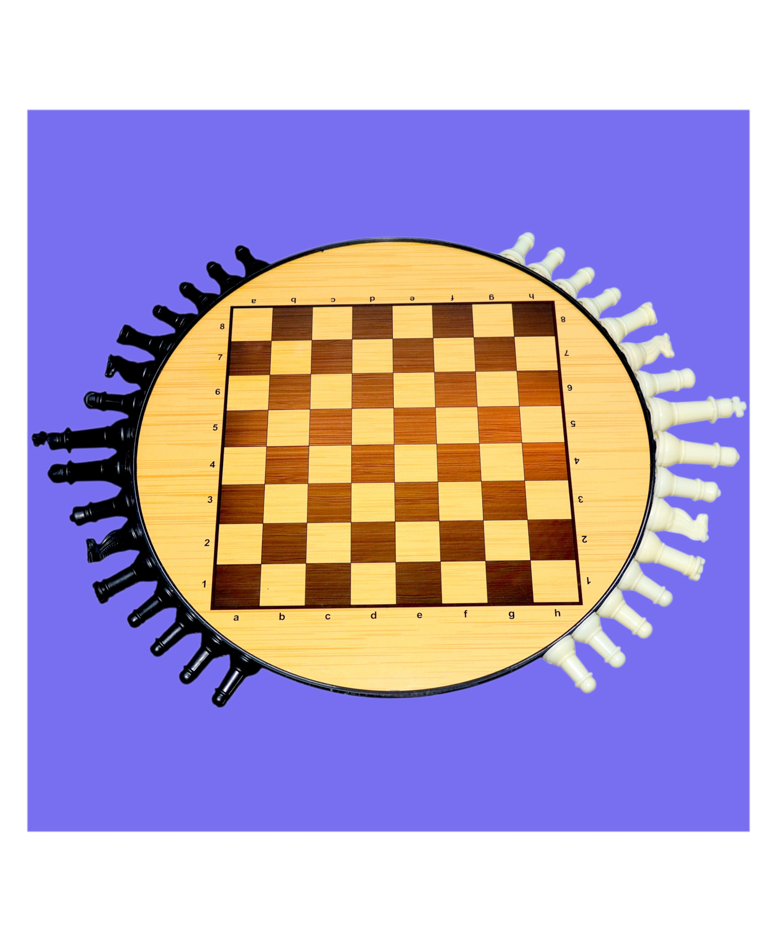 NIYANA TOYZ Magnetic Chess Board-image-47