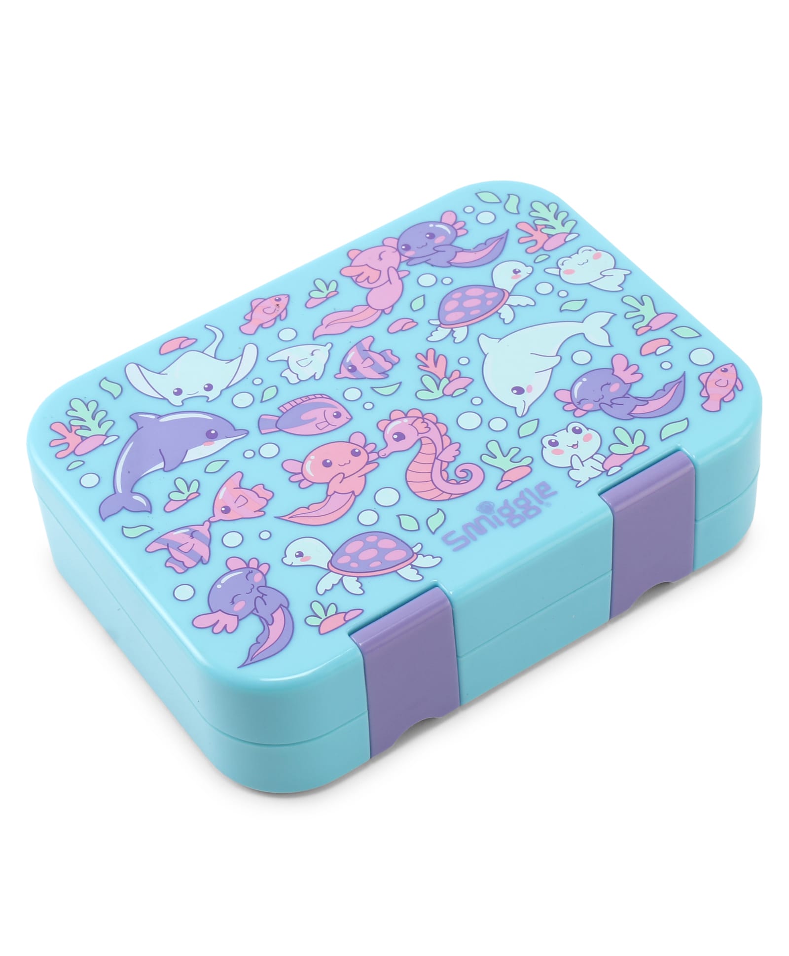 Smiggle Ljour Bento Sml TT Lunch Box 4 Compartment Leak-Proof Food Container- Aqua-picture-17