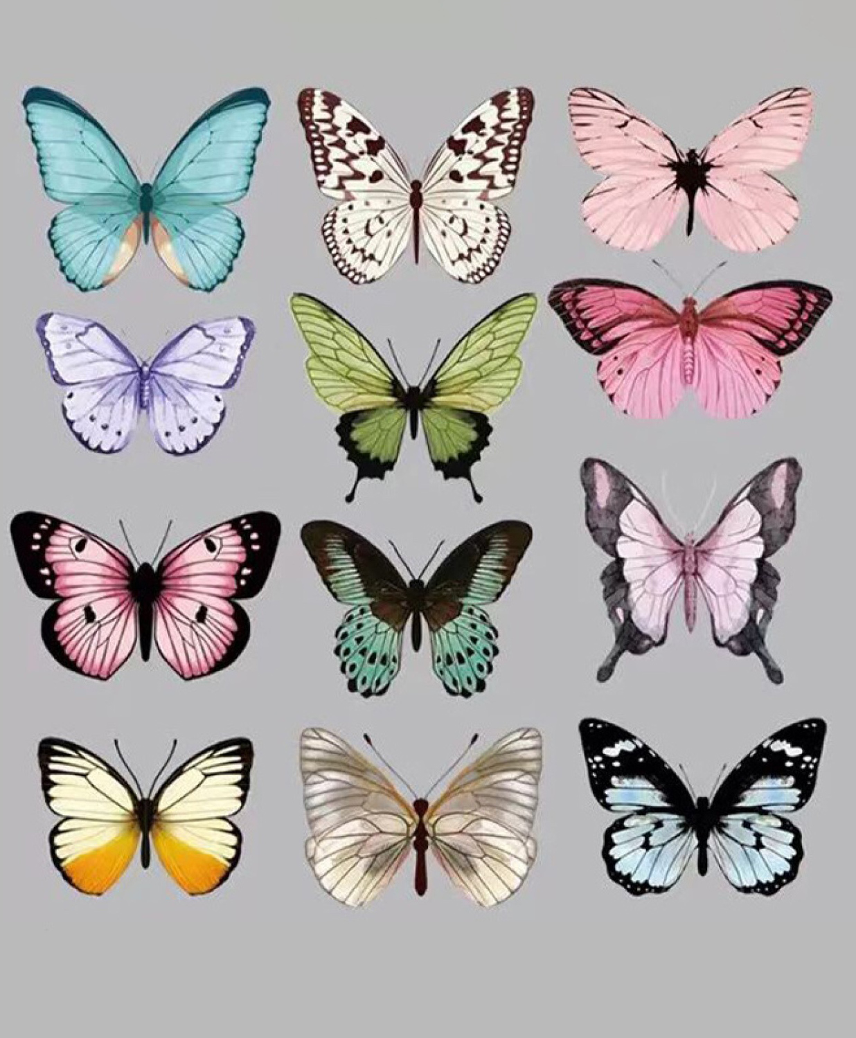 JAAMSO ROYALS 4X3D Butterfly Wall Stickers DIY Decals for Cake Decors Window Patio Lawn Yard Style A (Set Of 12) (16CM X 13CM)-picture-32