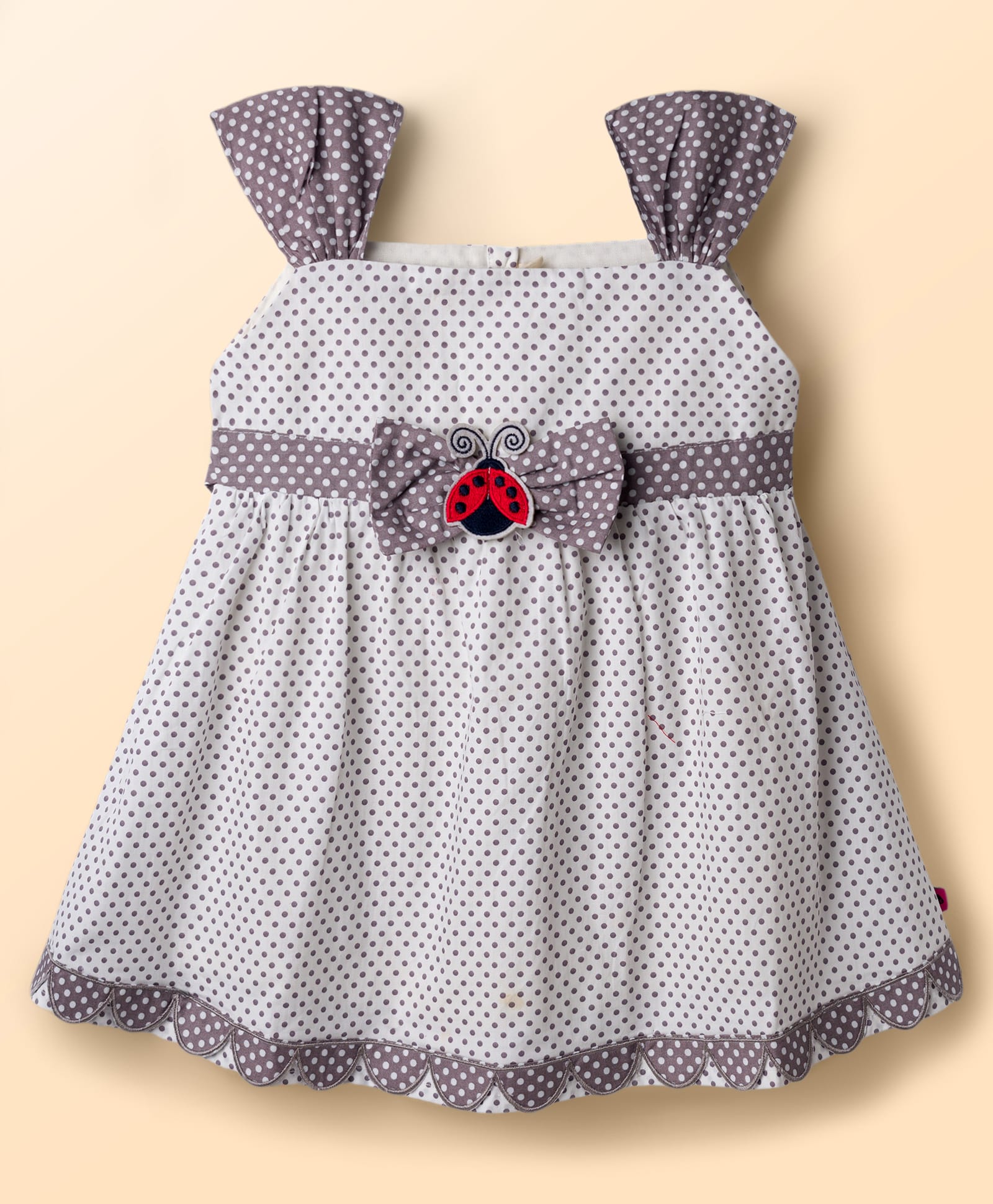 Dew Drops Cotton Woven Sleeveless Polka Dots Printed Frock With Caterpillar Applique - Grey-picture-18