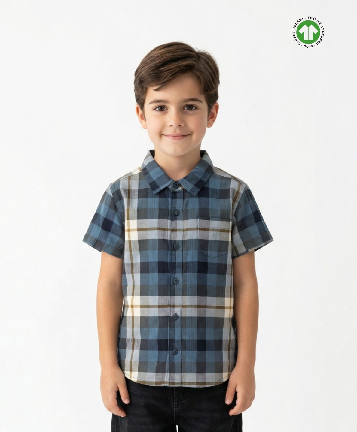Pranava Organic Cotton Woven Half Sleeves Checked Shirt - Blue-picture-32