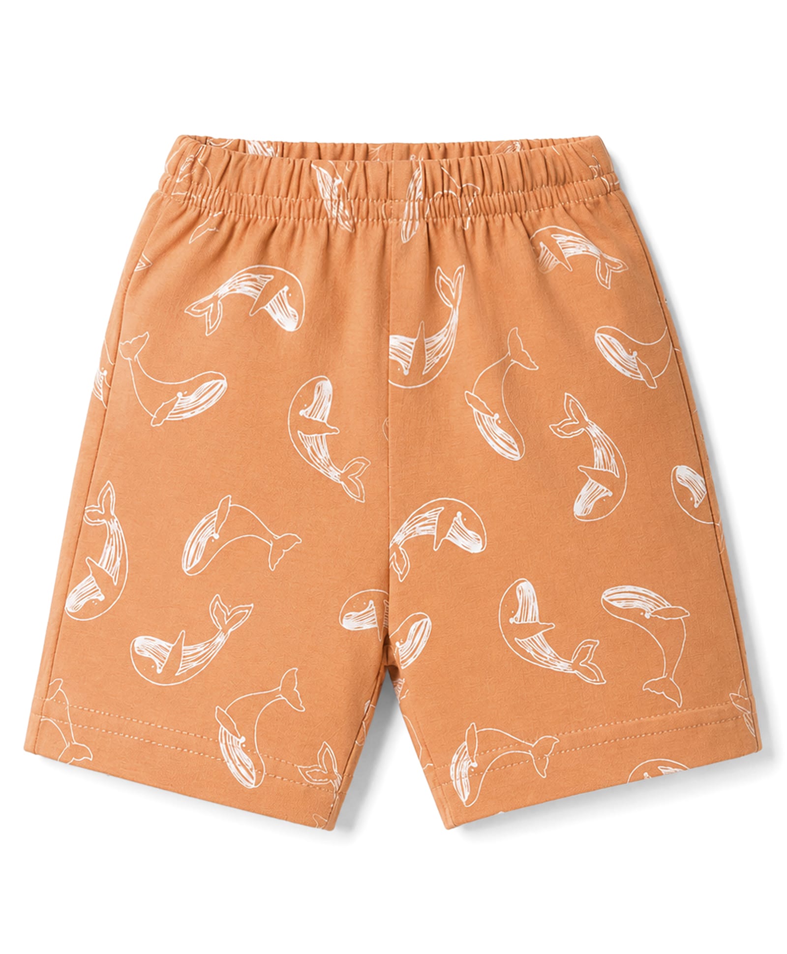 Tango Single Jersey Knit Knee Length Shorts With Whale Print - Orange-picture-15