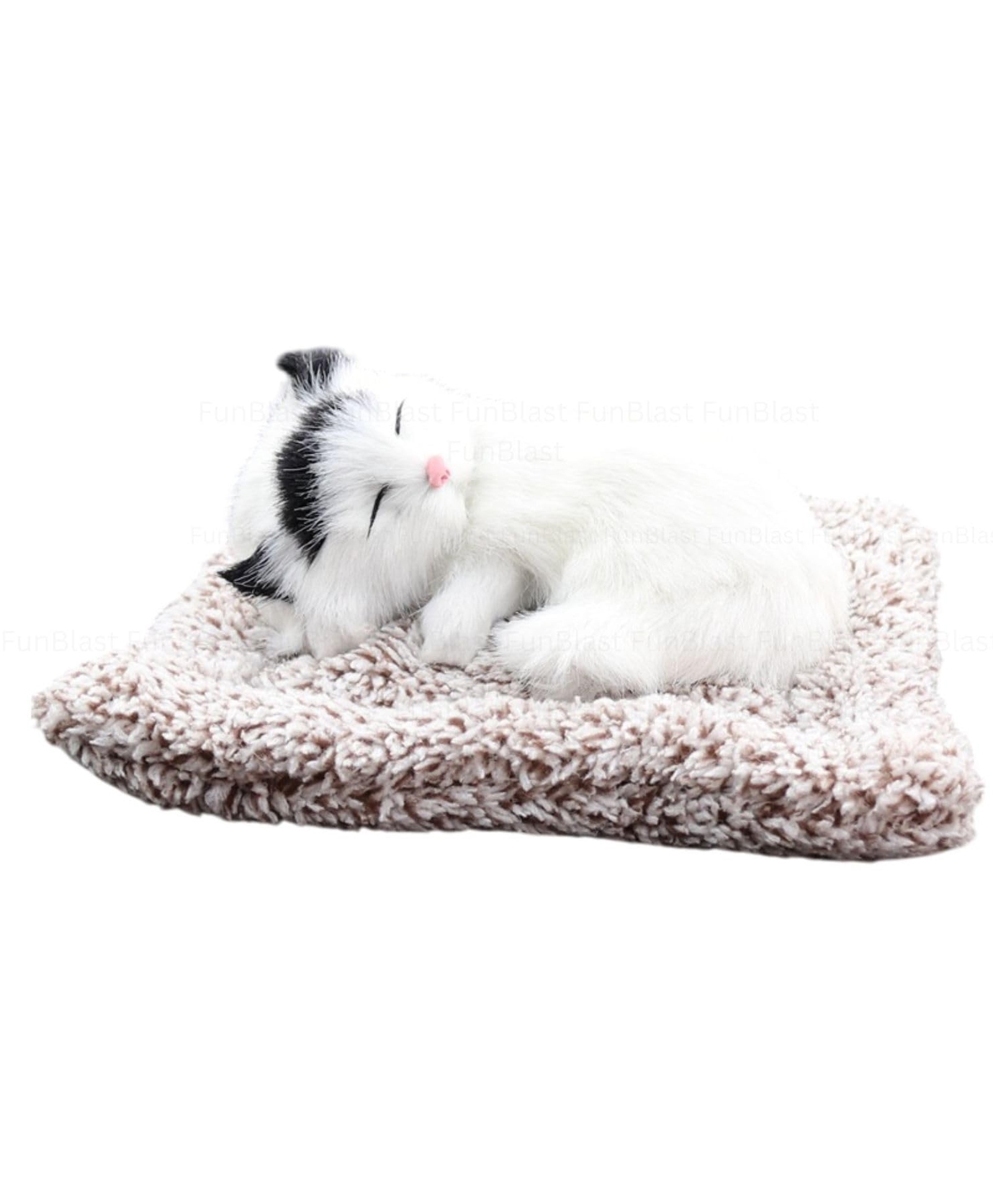 FunBlast Sleeping Cat 18 cm Plush Toy with Meow Sound - Pack 1 (White)-image-45