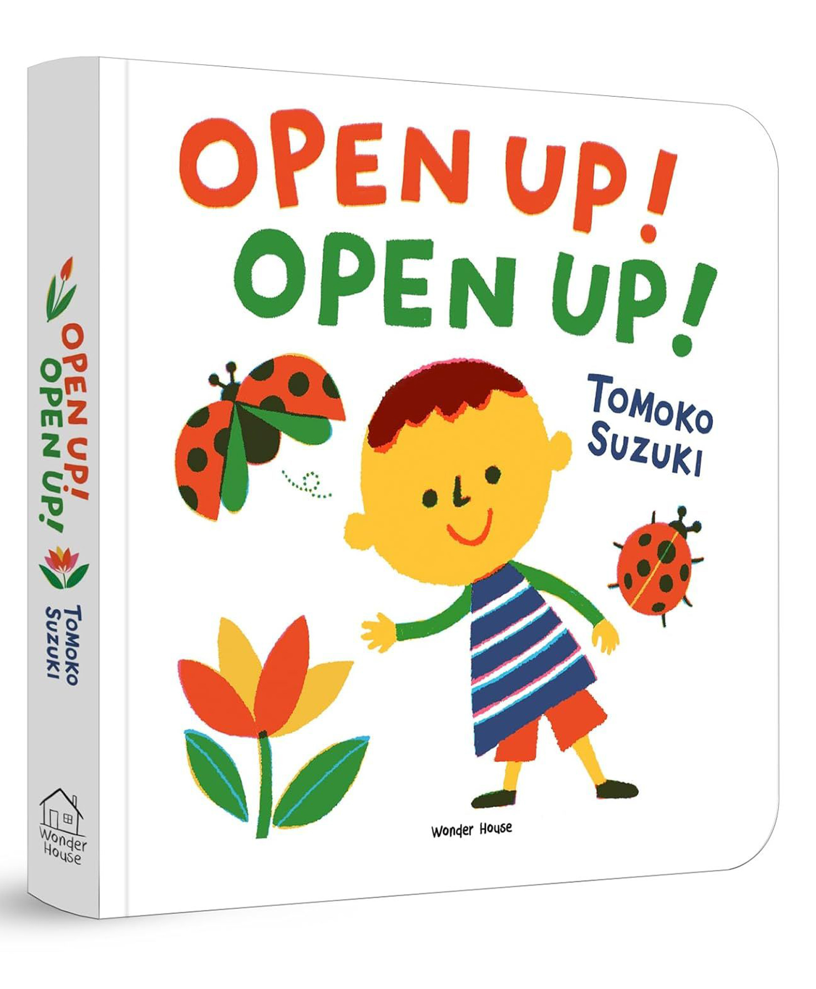 Open Up! Open Up! | Lift-the-Flap Style Visual ... for Toddlers & Preschoolers | Ages 25 Years Board book 30 September 2024 Knowledge Book Pack of 1-English-image-3