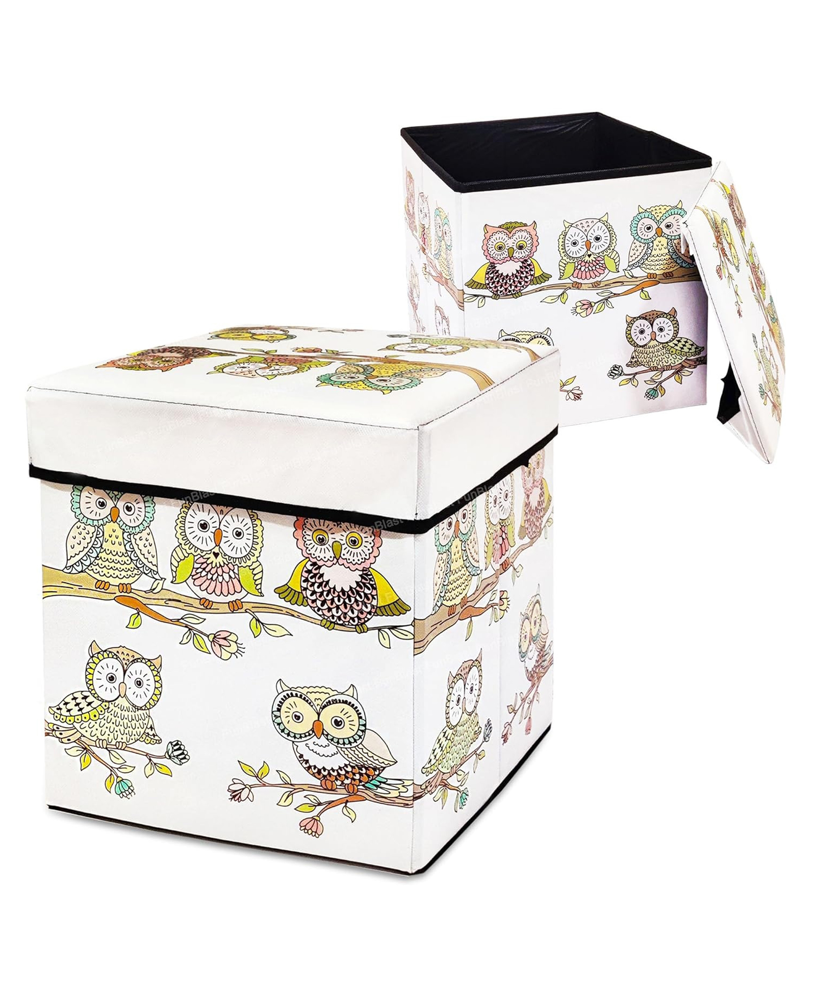 FunBlast Folding Storage Ottoman Box with Seat Cushion (Multicolor)-picture-22