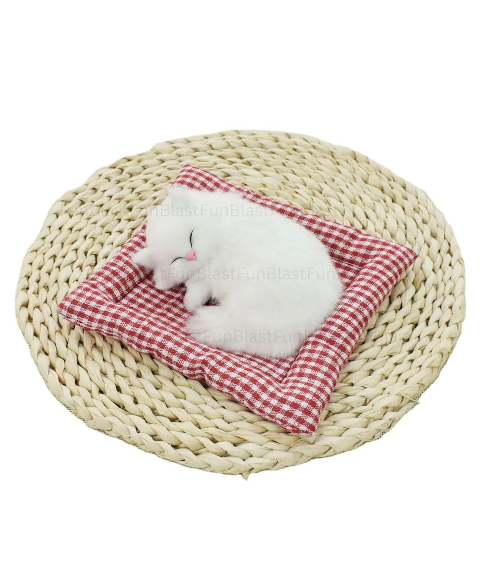 FunBlast 18 cm Sleeping Cat Plush Toy with Meow Sound - Pack 1 (White-Random)-image-44