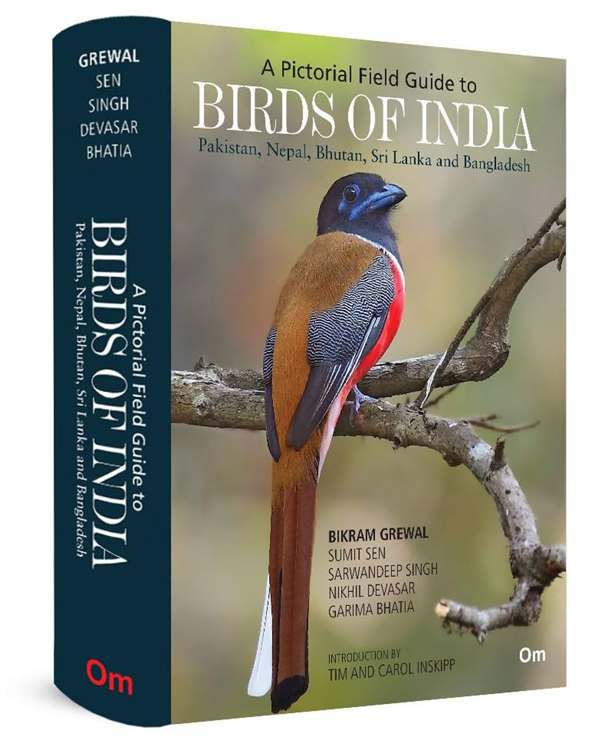Birds of India - A Pictorial Field Guide - English - Reading & Learning Books - Hardcover-image-44