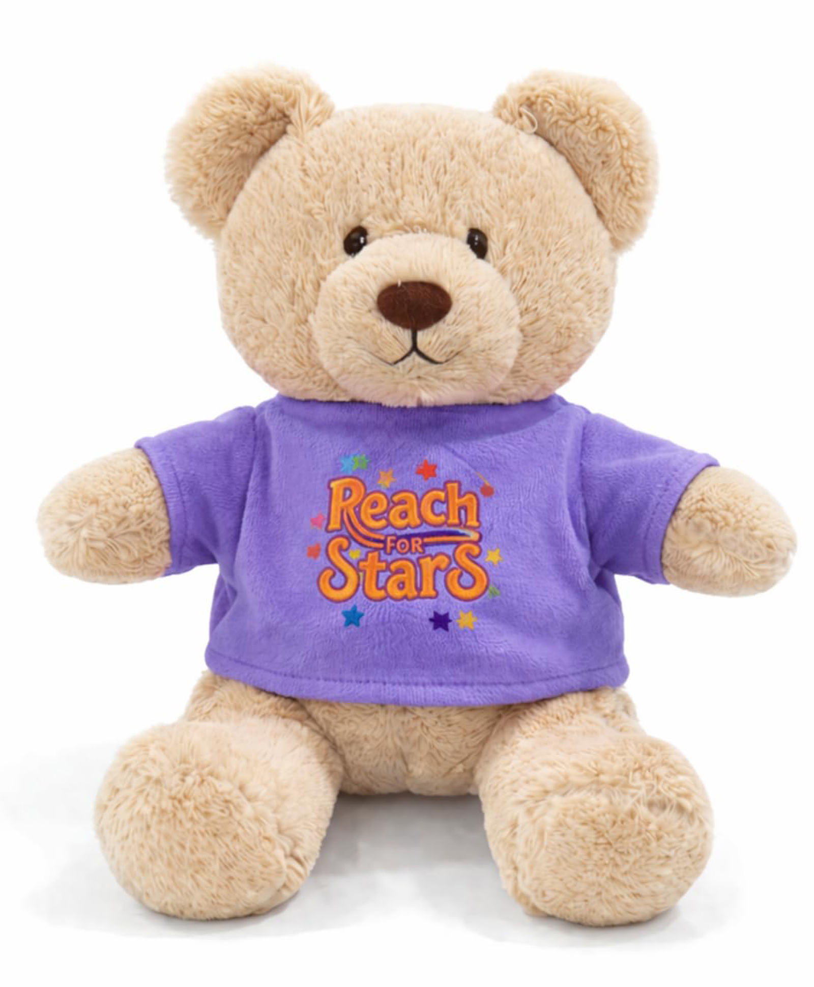 ELITE CREATIONS 30 CM Teddy Bear Plush Toy for Kids Soft Stuffed Animal with Reach for Stars T Shirt Cute Huggable Soft Toy for Boys and Girls-image-37