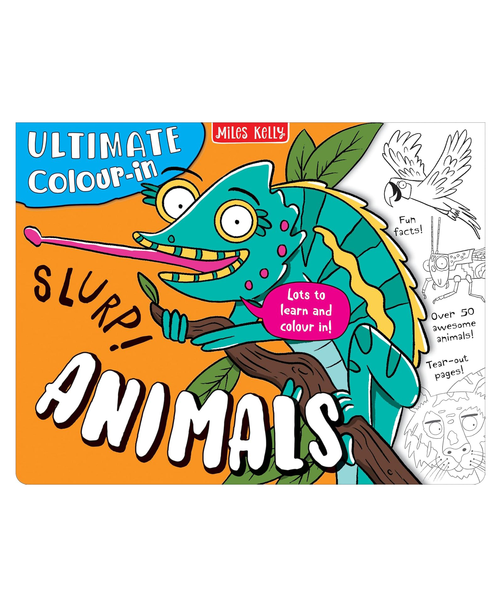 Ultimate Colour in Animals: The Illustrated Fact-Filled Animal Book Perfect for Children by Miles Kelly - English-image-16