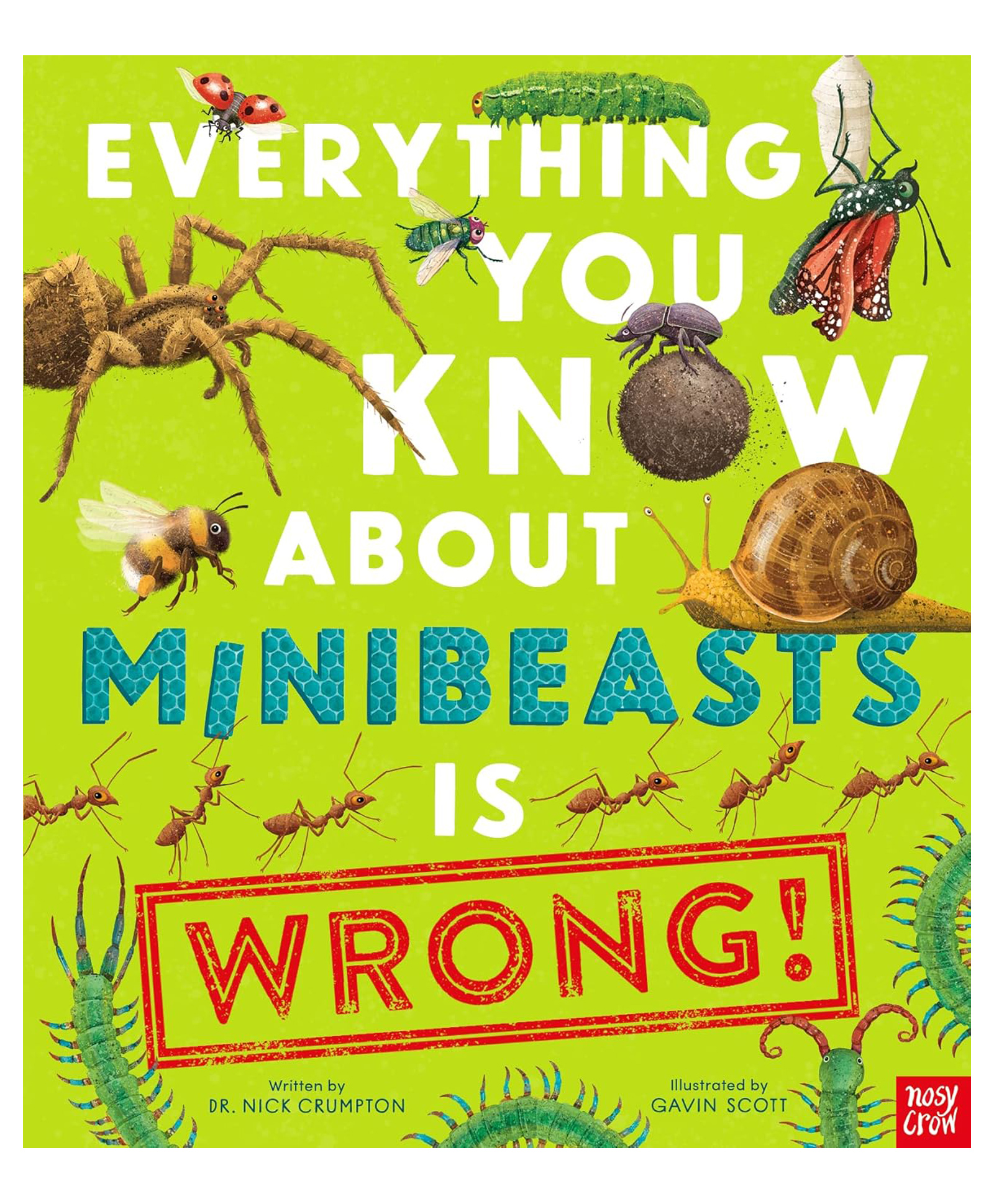 Everything You Know About Minibeasts Is Wrong Hardback by Dr Nick Crumpton - English-image-21