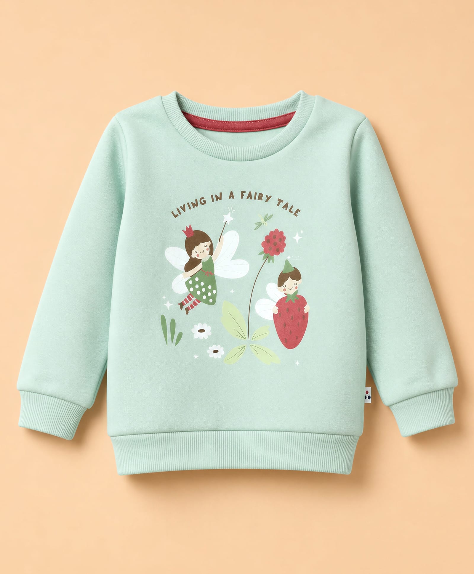 Simply Fleece Knit Sweatshirt with Full Sleeves and Fairy Tale Print - Mint Green-image-2