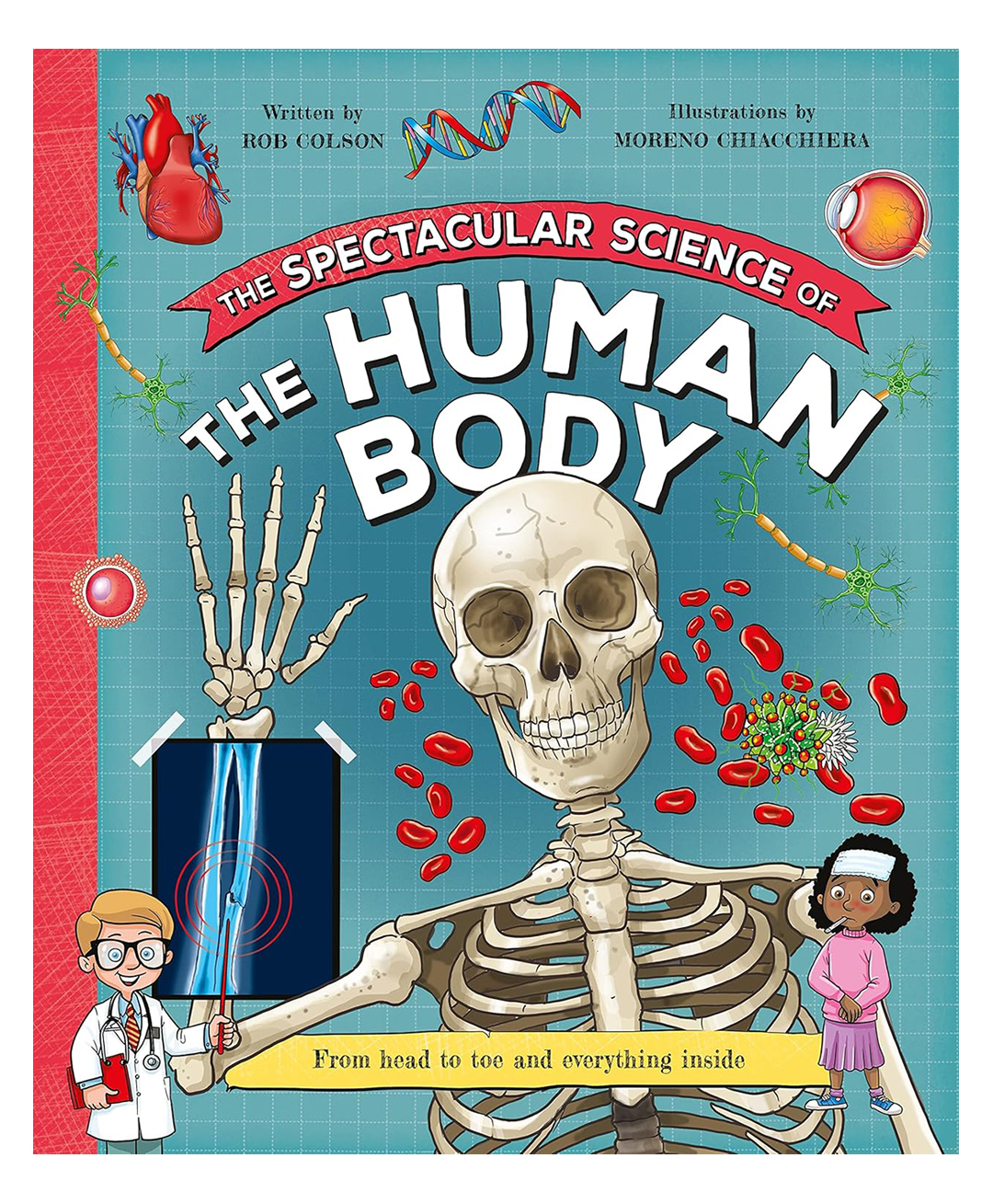 The Spectacular Science of the Human Body: From head to toe and everything inside: 4 Board Book By Rob Colson - English-image-39