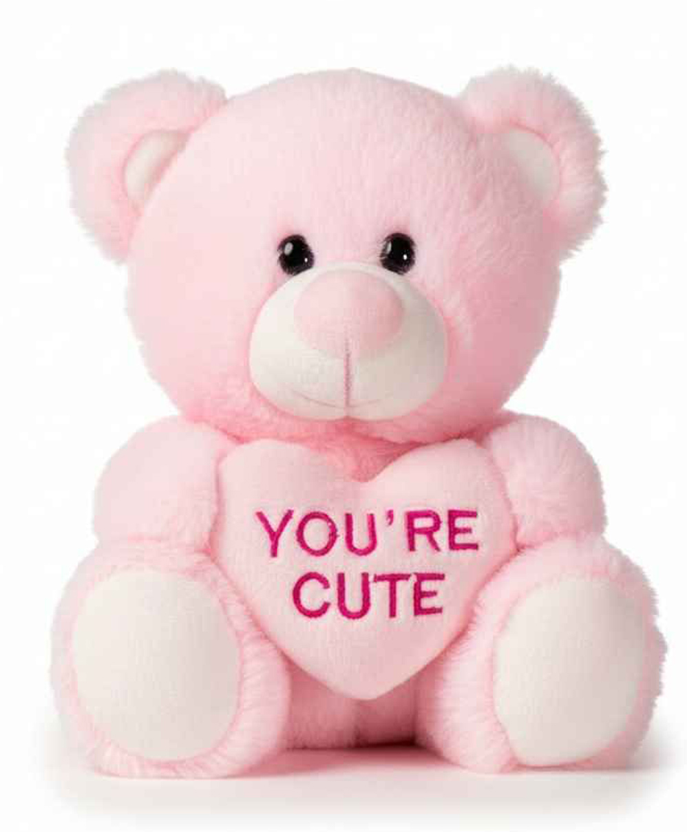 DearJoy 30 cm Teddy Bear with Message on a Heart Pink 1.0 PIECE-picture-29
