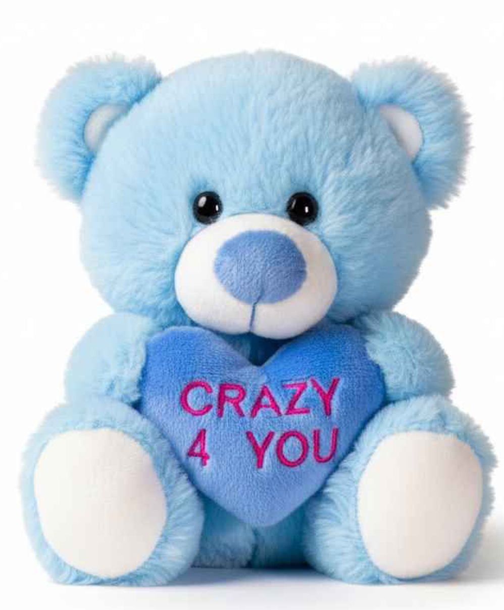 DearJoy 30 cm Teddy Bear with Message on a Heart Blue 1.0 PIECE-picture-11