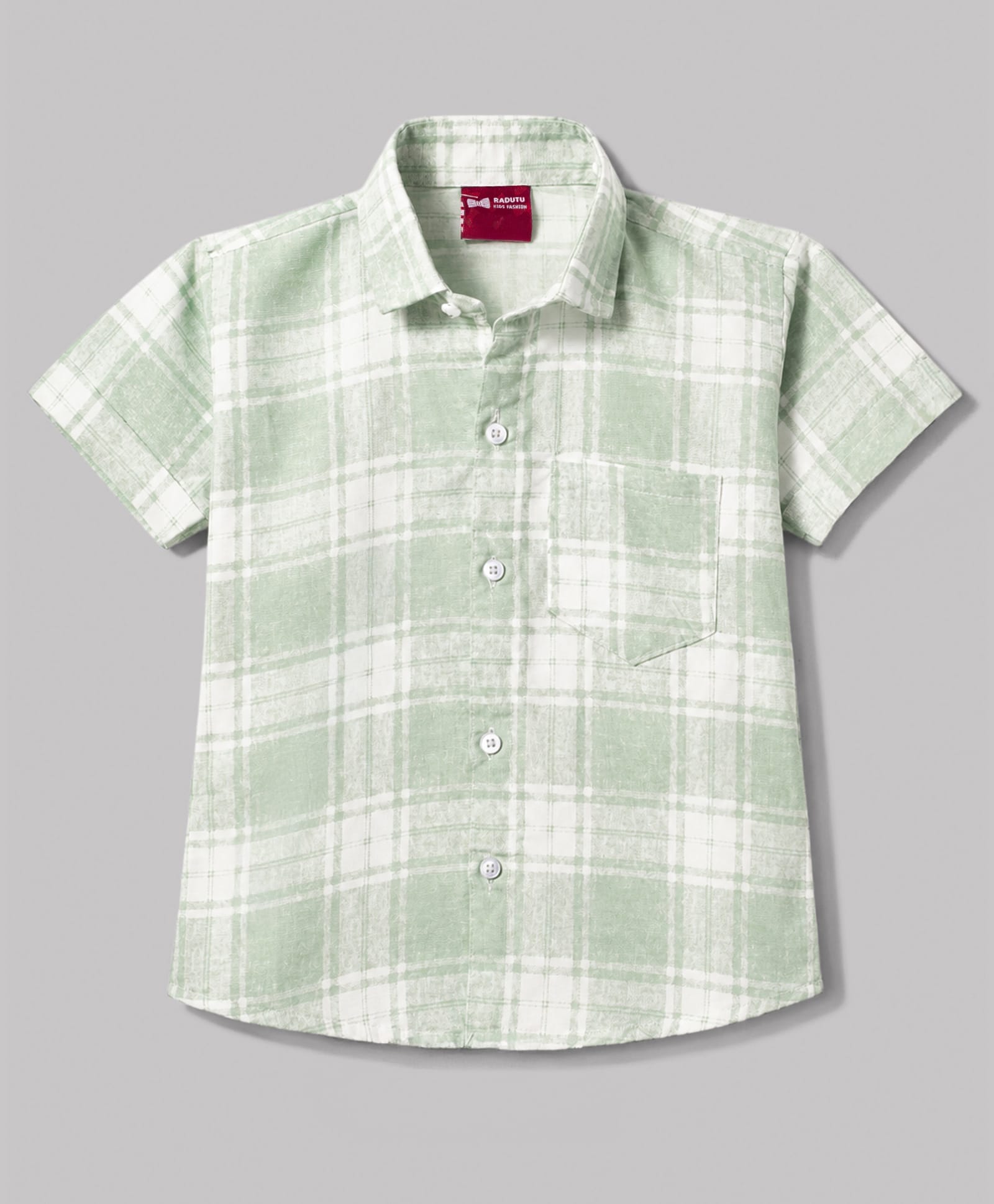 Radutu Cotton Woven Half Sleeves Shirt with Checks - Light Green-picture-22