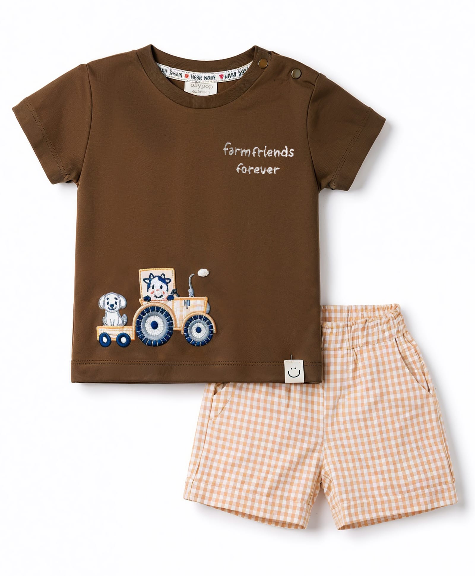 Ollypop Interlock Knit Half Sleeves T-Shirt & Shorts Set with Train & Puppy Embroidery - Brown-picture-8